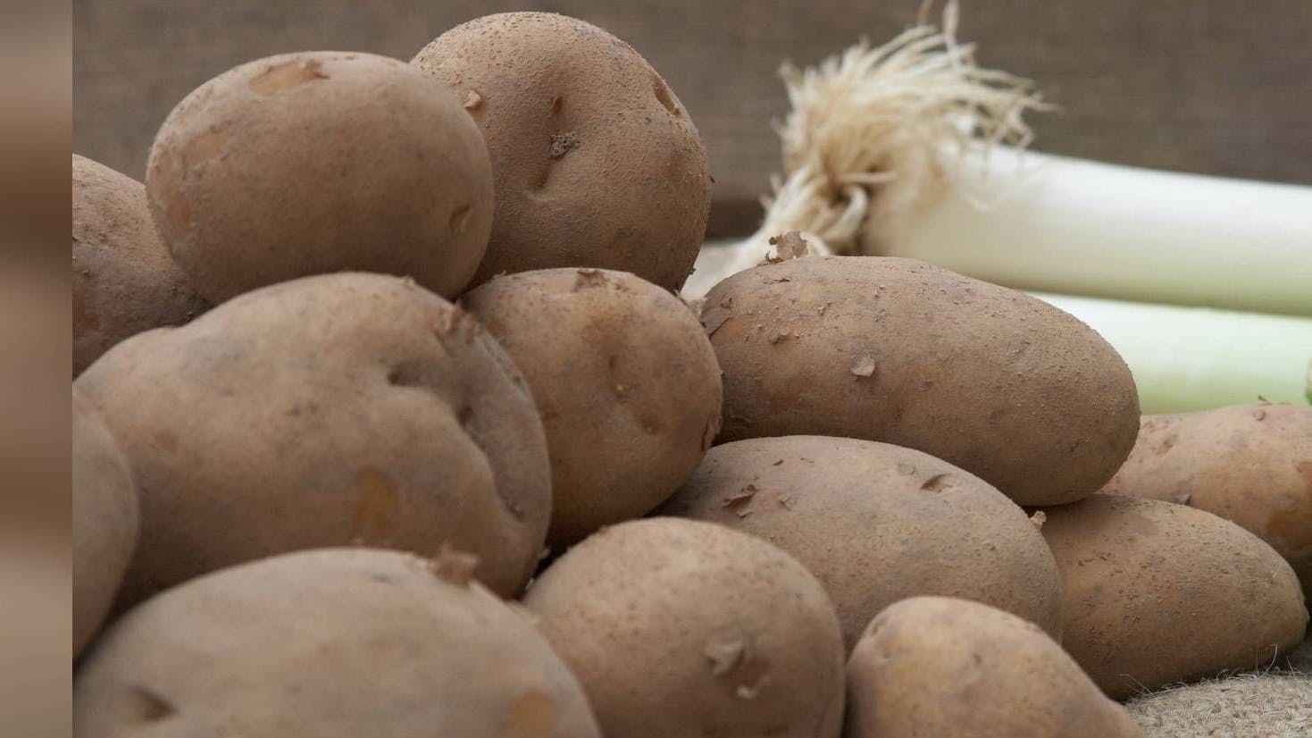 Kartoffeln sind ein echter Allrounder in der Küche.