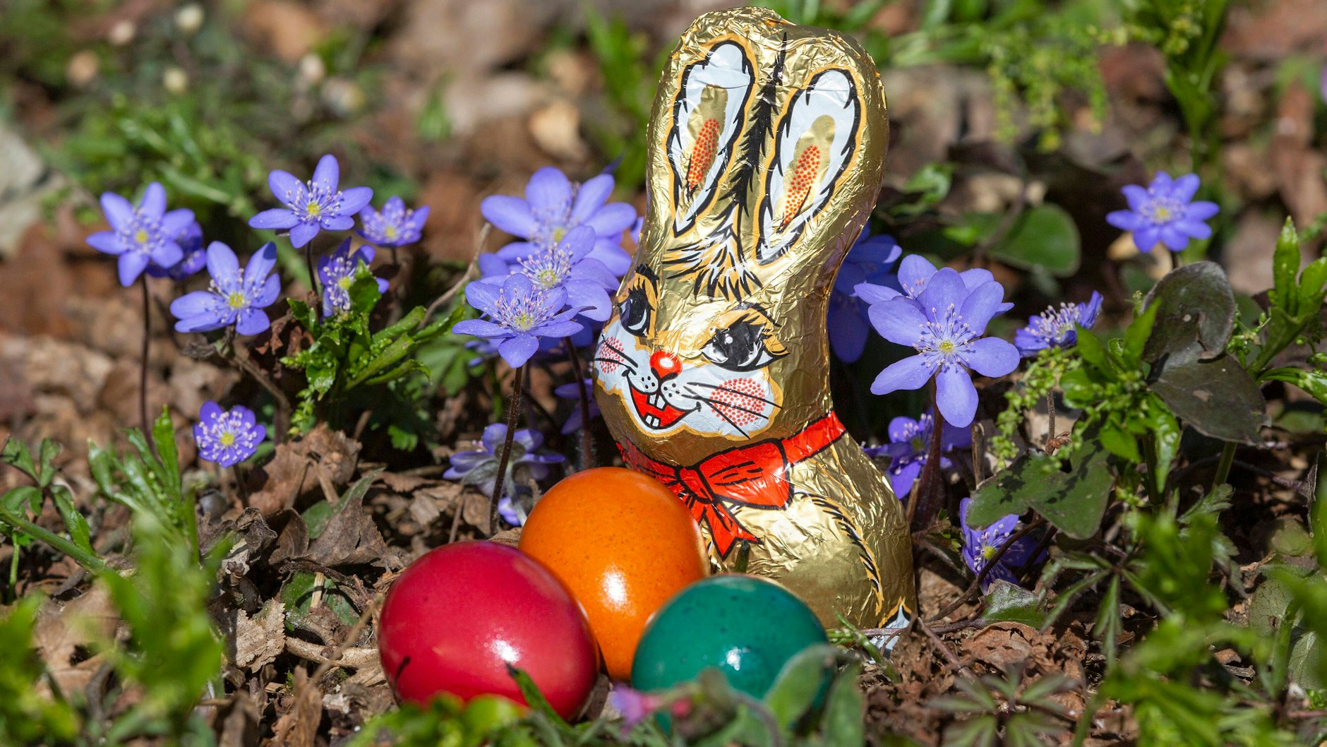 Die Schokohasen zu Ostern werden knapp. Grund sind die nicht mehr funktionierenden Lieferketten.
