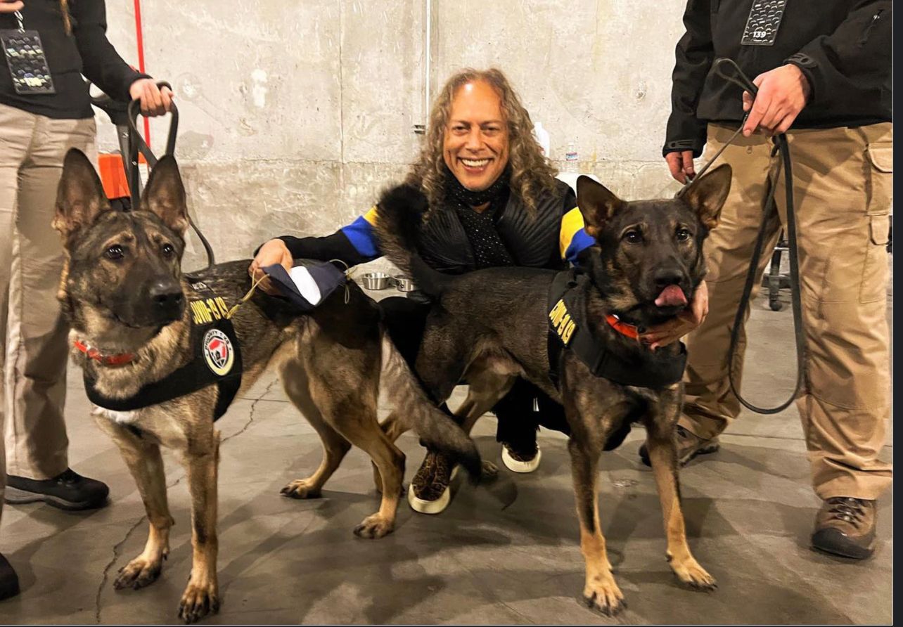Image - Corona-Hunde gehen mit Metallica auf Tournee