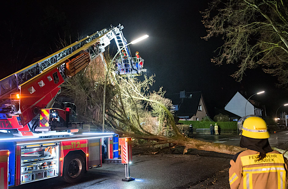 Schleswig-Holstein, Reinbek: Feuerwehrleute zersägen einen großen Baum, der auf ein Wohnhaus gestürzt ist.
