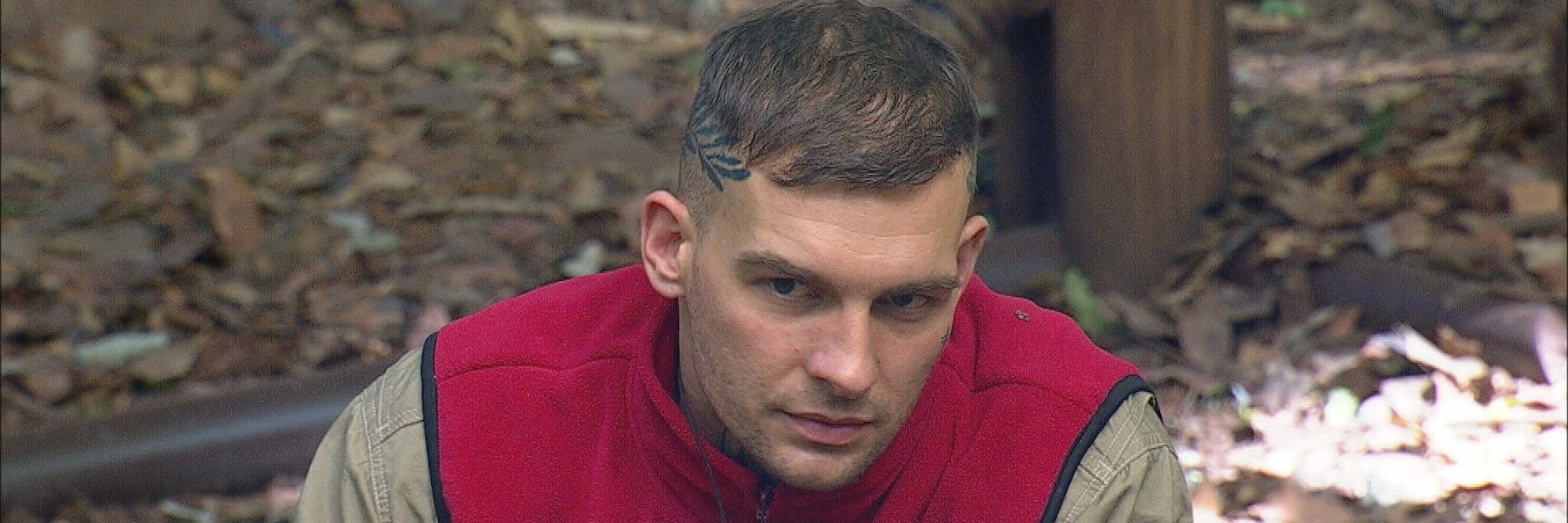 Eric Stehfest macht sich im Dschungelcamp nicht gerade beliebt.