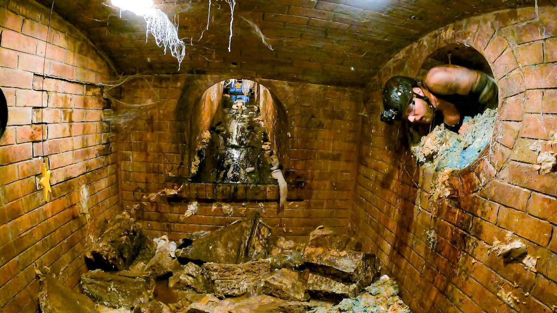 Tiere, Dreck und klebrige Melasse warteten in der Dschungelcamp-Kanalisation auf Filip Pavlovic.