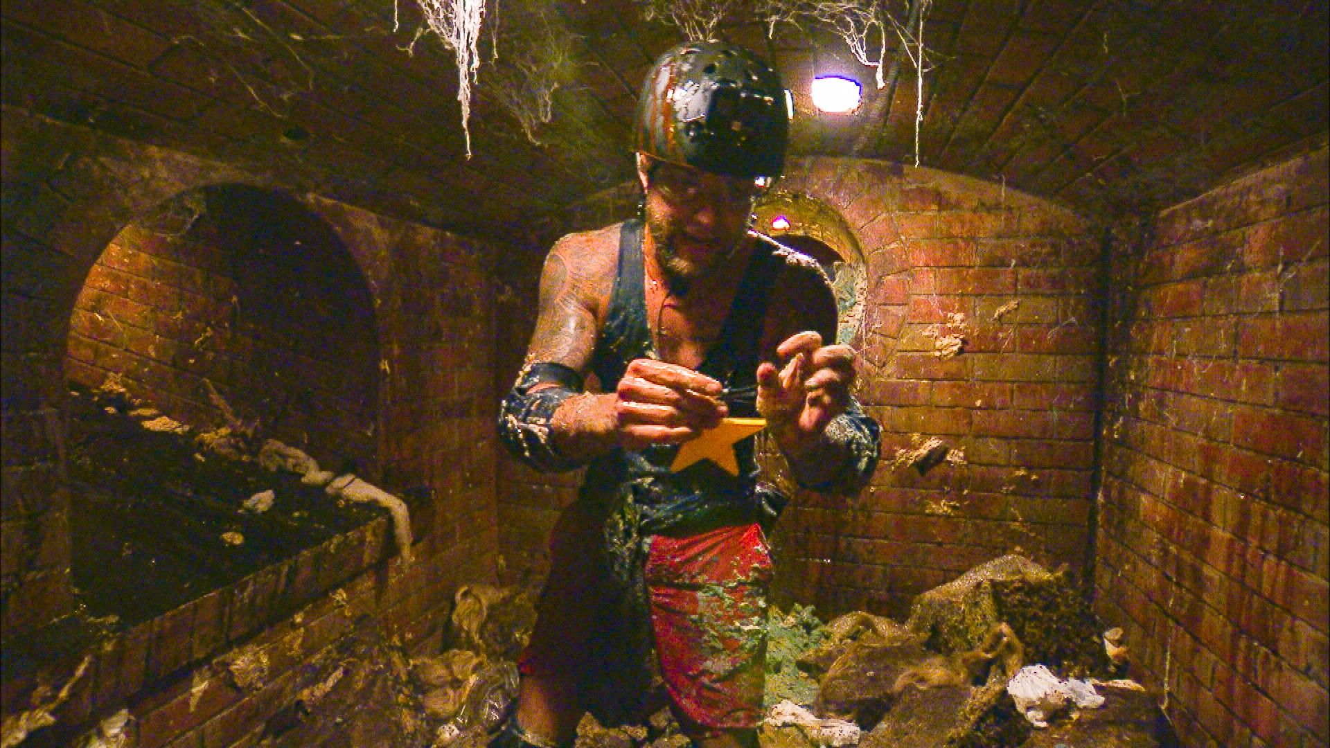 Image - Dschungelcamp, Tag 11: Filip Pavlovic sammelt Sterne in der Kanalisation, Eric Stehfest kommt zur Besinnung und Tina Ruland muss das Camp verlassen