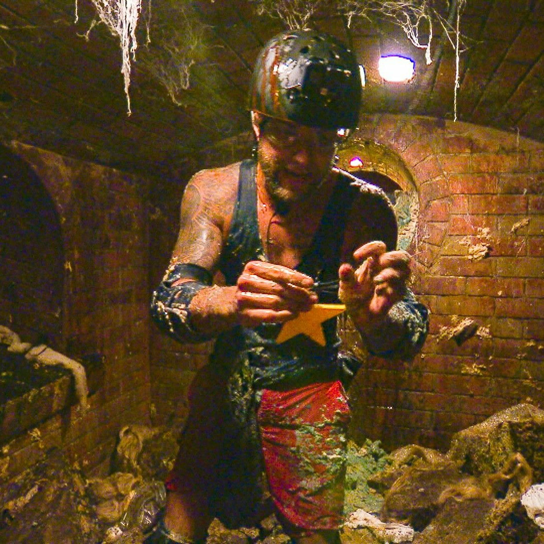 Dschungelcamp, Tag 11: Filip Pavlovic sammelt Sterne in der Kanalisation, Eric Stehfest kommt zur Besinnung und Tina Ruland muss das Camp verlassen