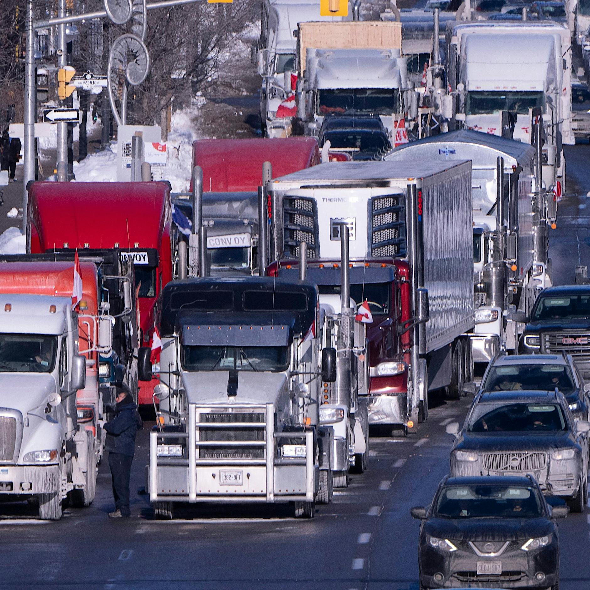 Blick in die Welt: Corona-Maßnahmen werden schrittweise abgebaut