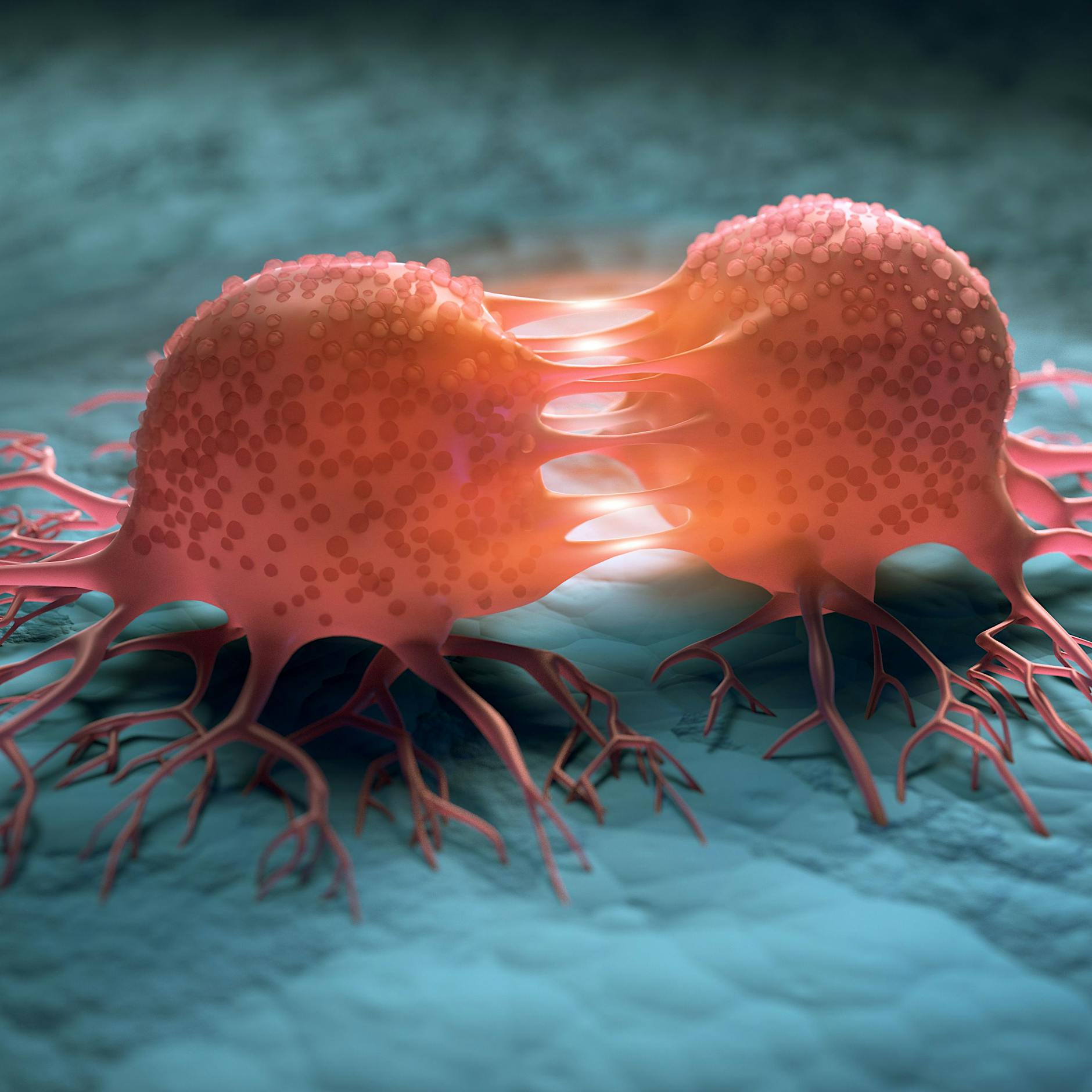 In welchen Zellen beginnt Krebs? Wahl-Berlinerin erforscht Ursprung von Tumoren