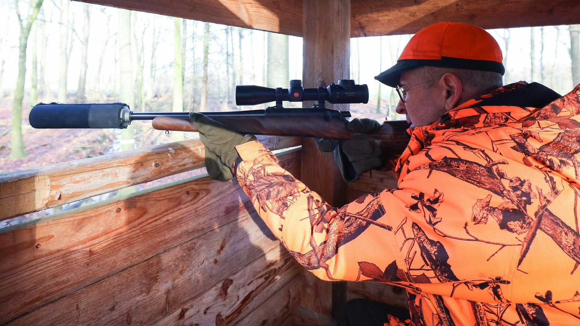 Vertreter von Jagdverbänden setzen sich für den Abschuss von Wölfen ein.