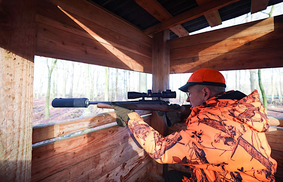 Vertreter von Jagdverbänden setzen sich für den Abschuss von Wölfen ein.