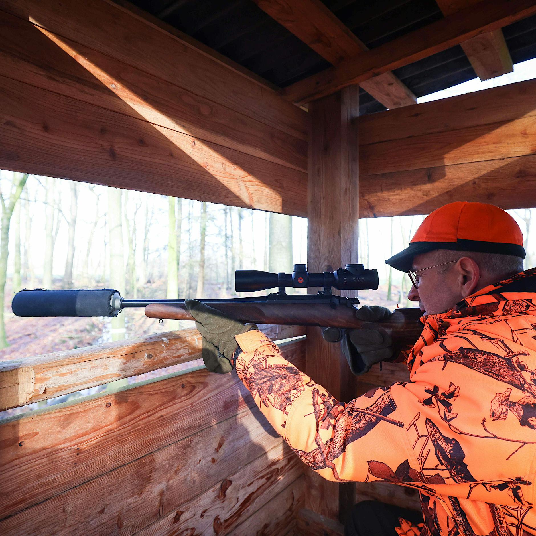 Verband fordert, dass jedes Jahr in Brandenburg 80 Wölfe geschossen werden