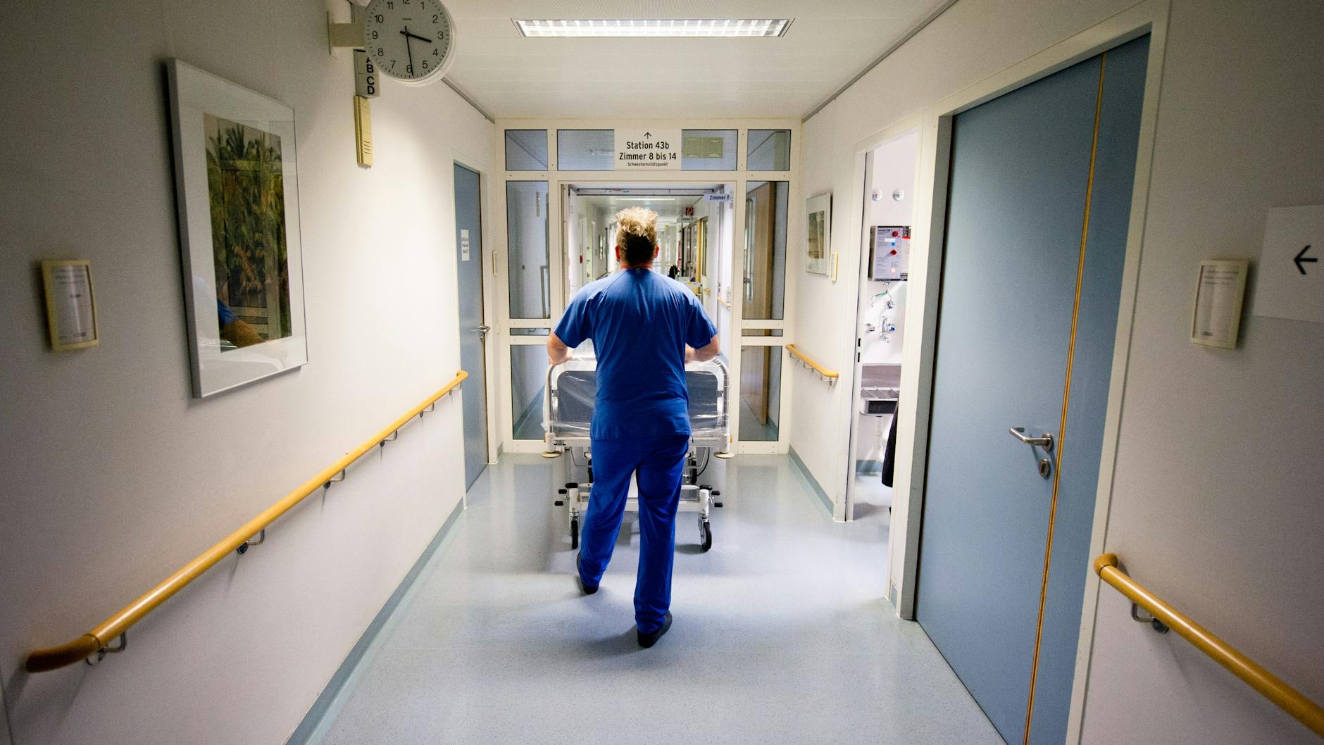 Eine Infektion mit dem Borna-Virus führt bei Menschen meistens zum Tod (Symbolbild).