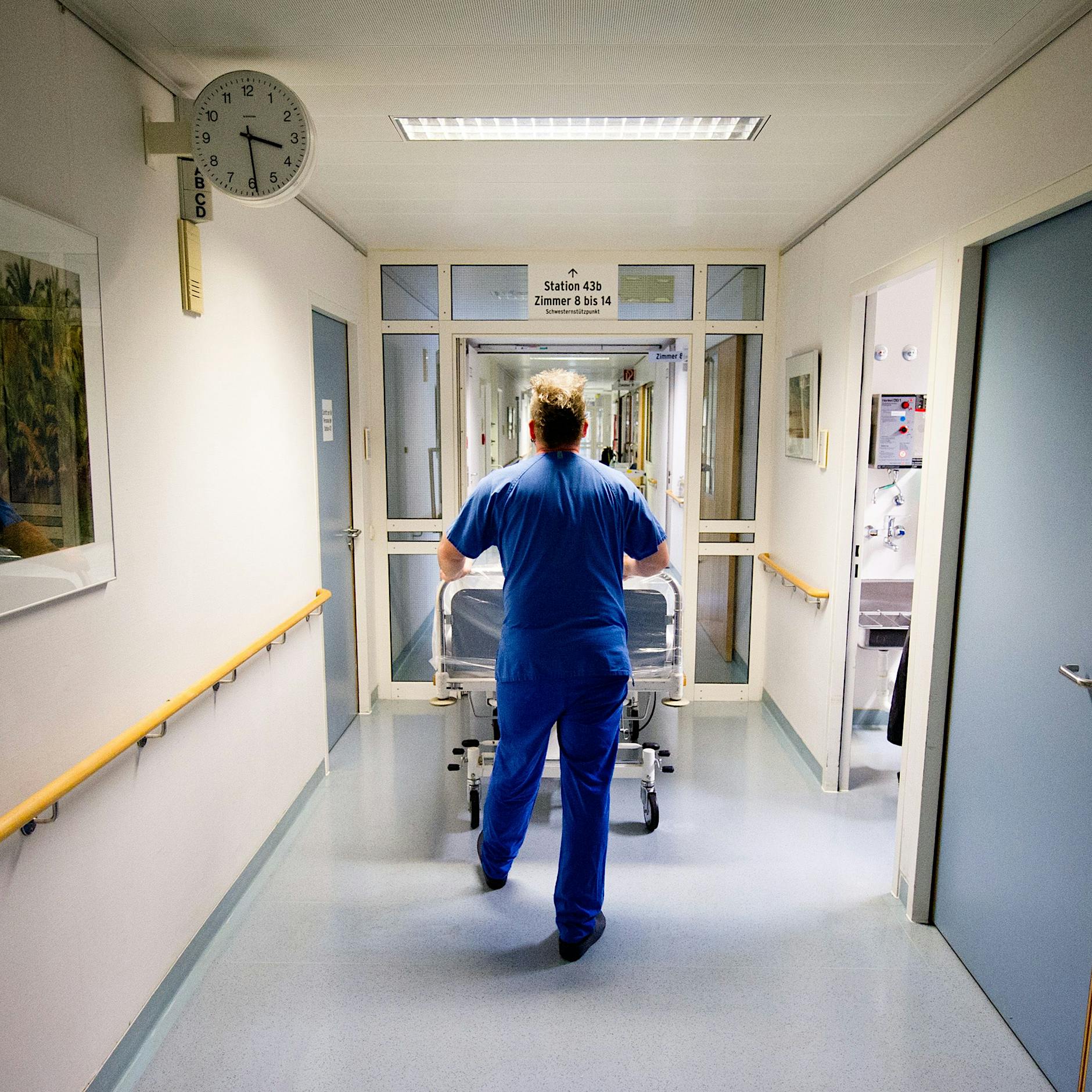 Deutscher mit seltenem Borna-Virus infiziert