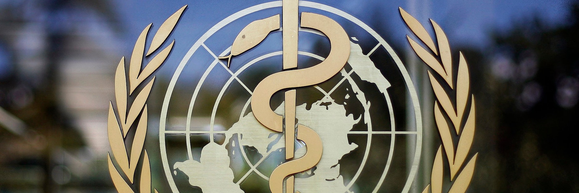 Logo der WHO: Die Weltgesundheitsorganisation warnt vor dem neuen Subtyp des Coronavirus.