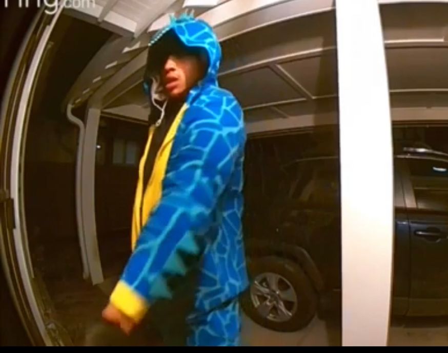 Image - Nach Einbruchsserie: Polizei fahndet nach diesem Dino-Dieb - mit Video!