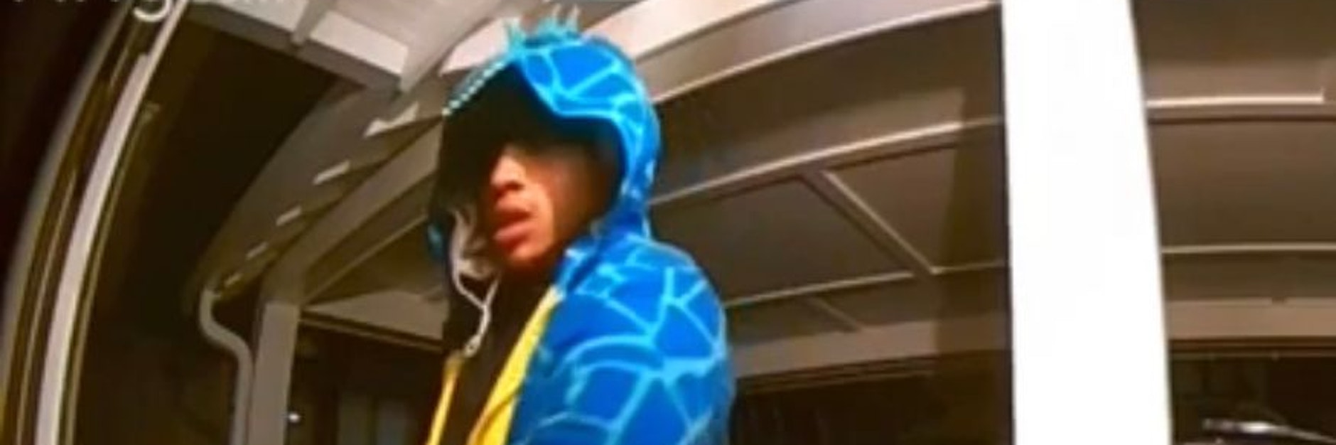 ie Polizei von Nashville fahndet nach diesem Dieb im Dinosaurier-Kostüm. Wegen einer Einbruchsserie.