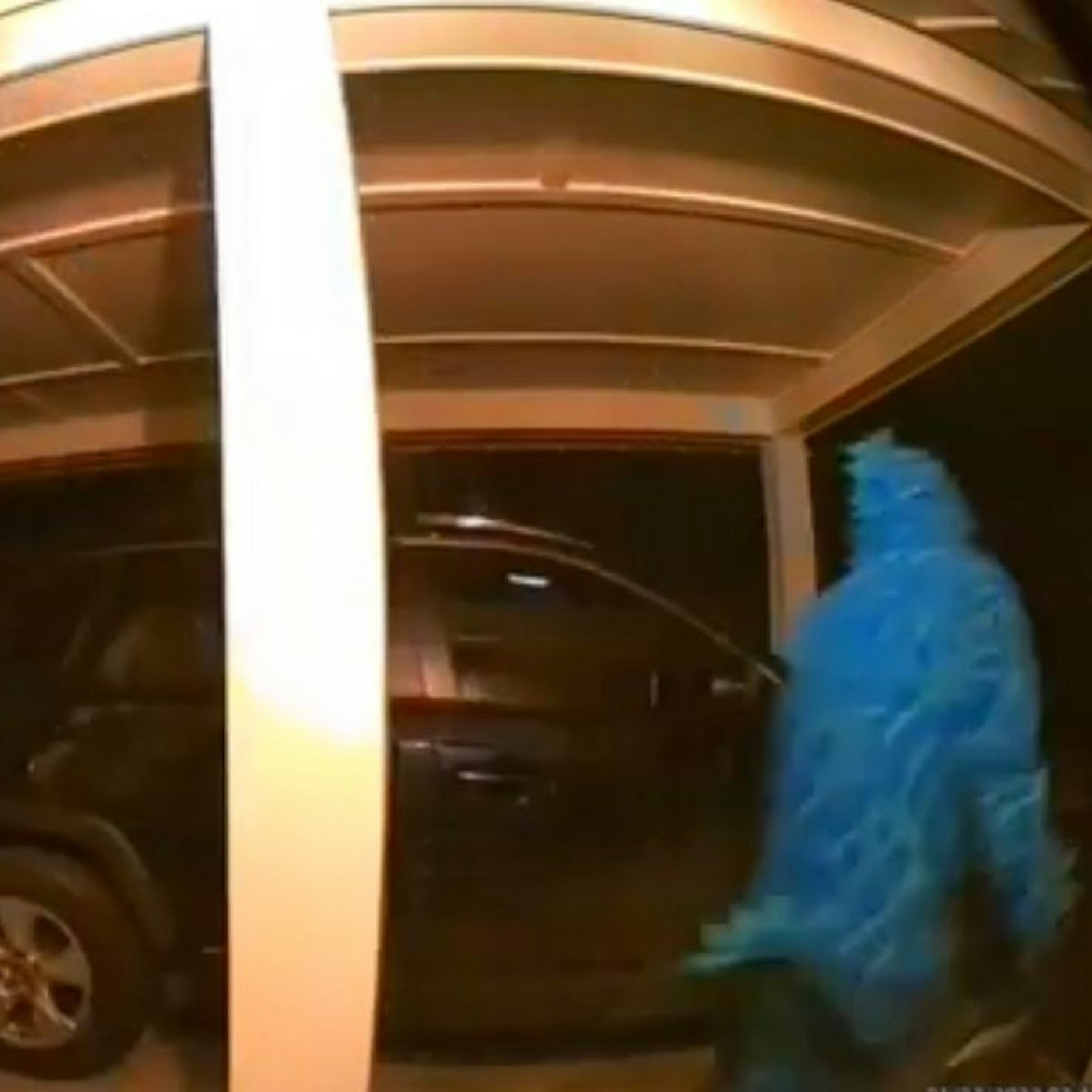 Auch in ein Auto brach der Dino-Dieb ein und räumte es aus.