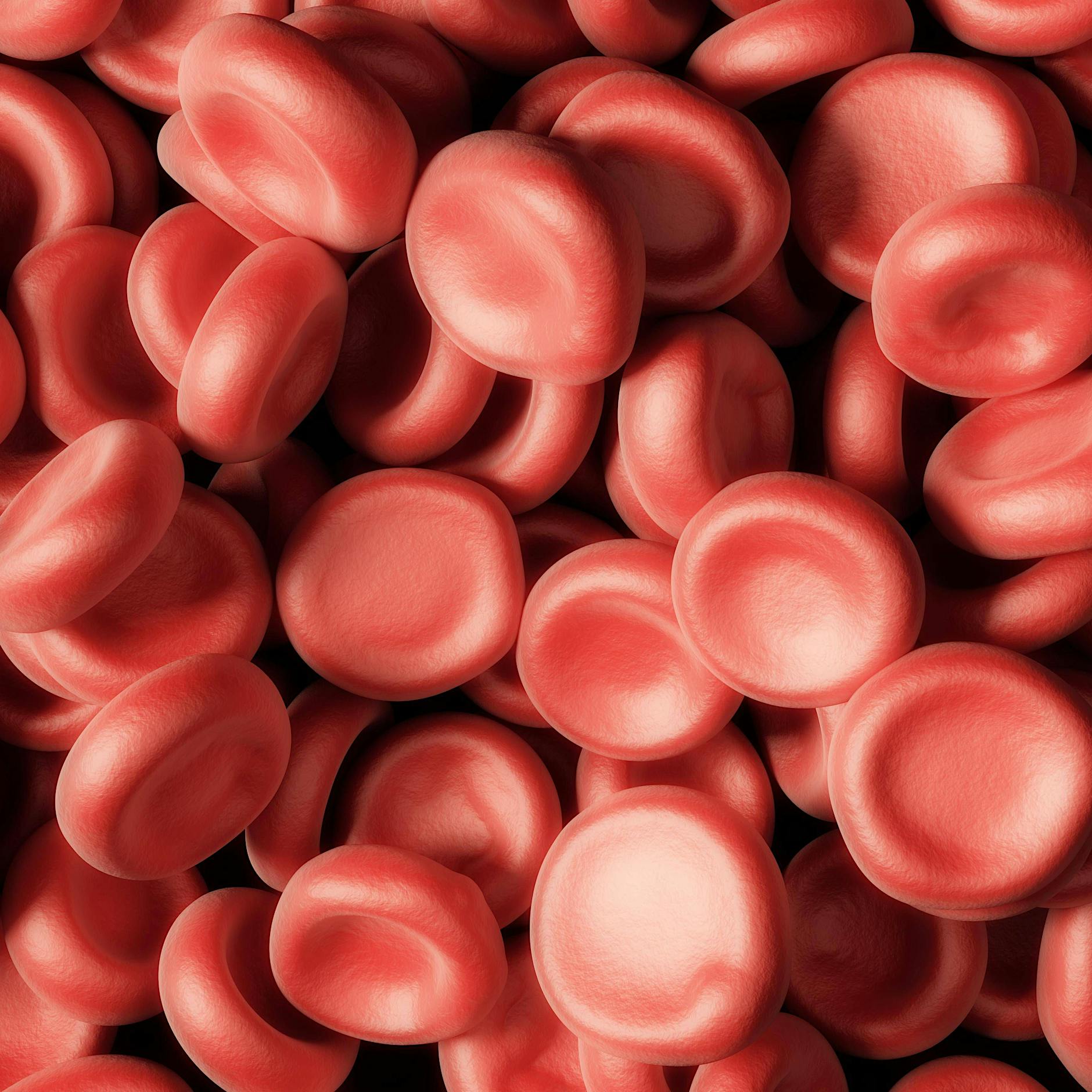 Stammzellspende, Antikörpertherapie, Chemo: Leukämie ist häufig gut heilbar