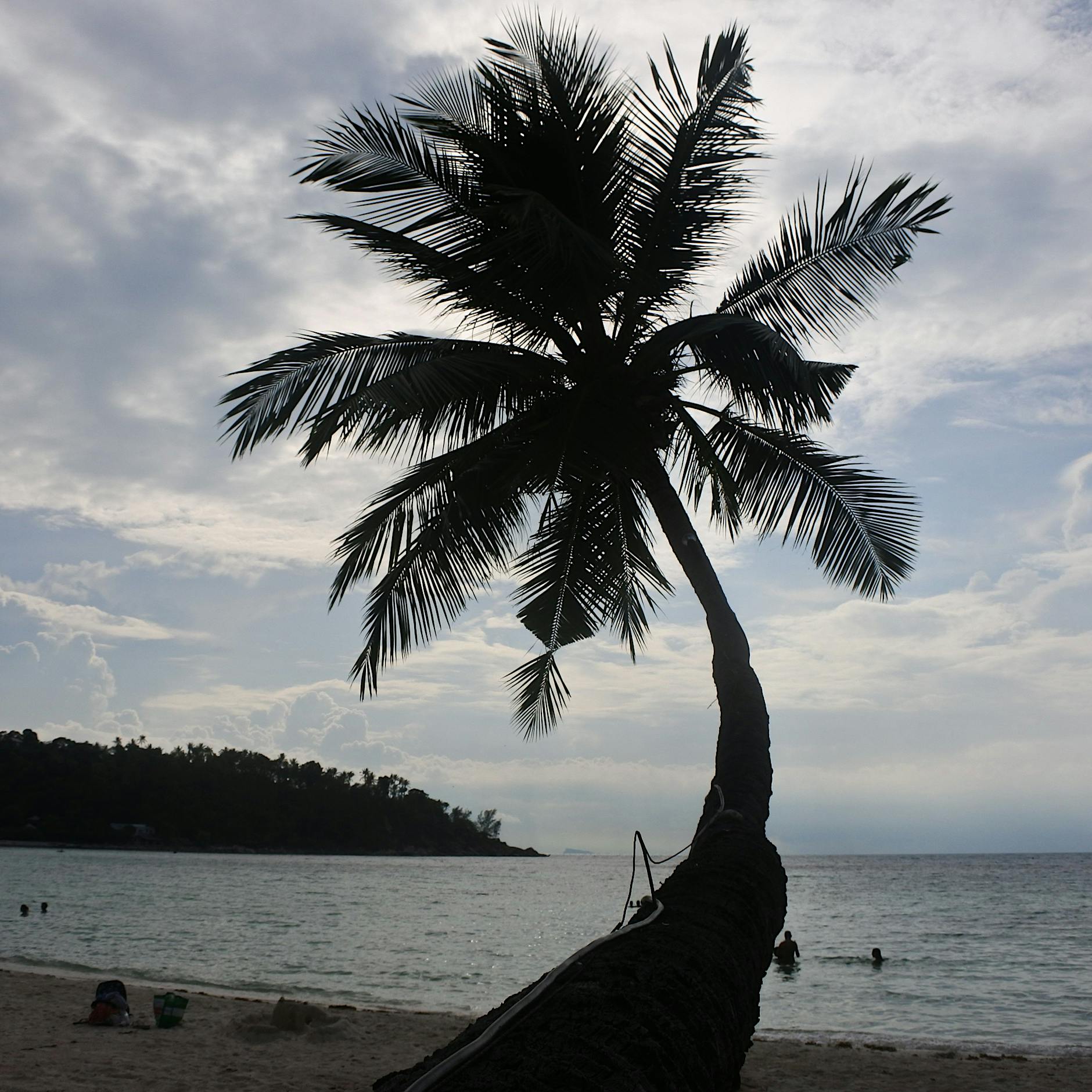 Pandemie, Winter, ewiges Grau: So halten wir bis zum Frühling durch