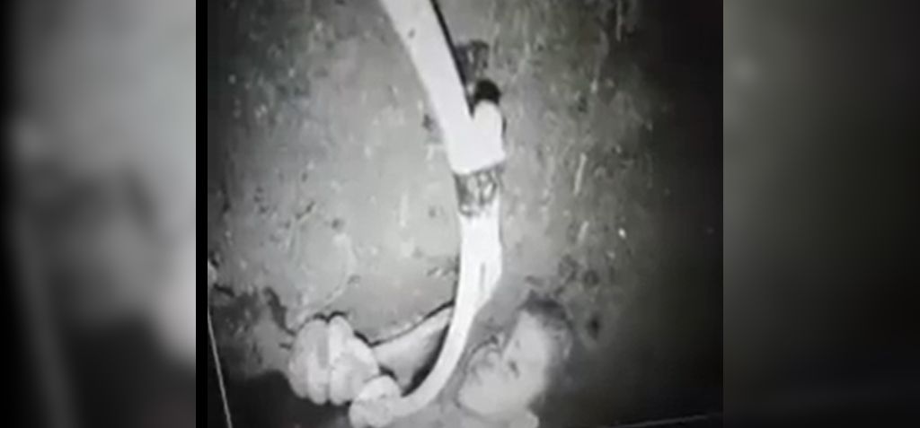 Junge (5) fällt in Brunnen – Dramatischer Rettungseinsatz!