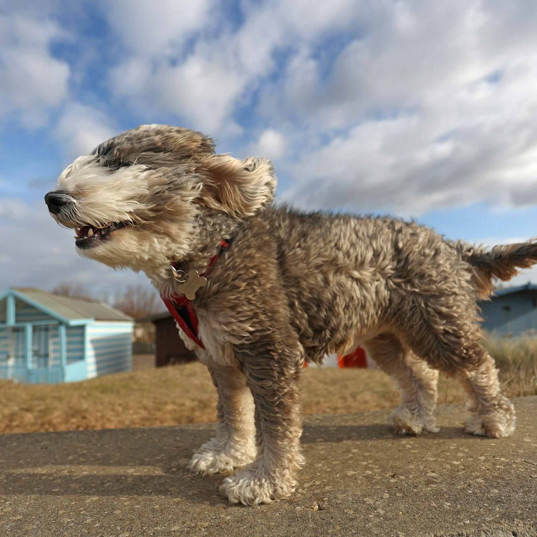 Wetter: Kurz und heftig – Kaltfront bringt Sturmböen