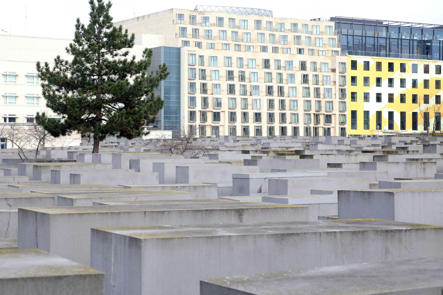 Das Holocaust-Mahnmal in Berlin in diesem Winter. Einige Bäume sollen gefällt werden.