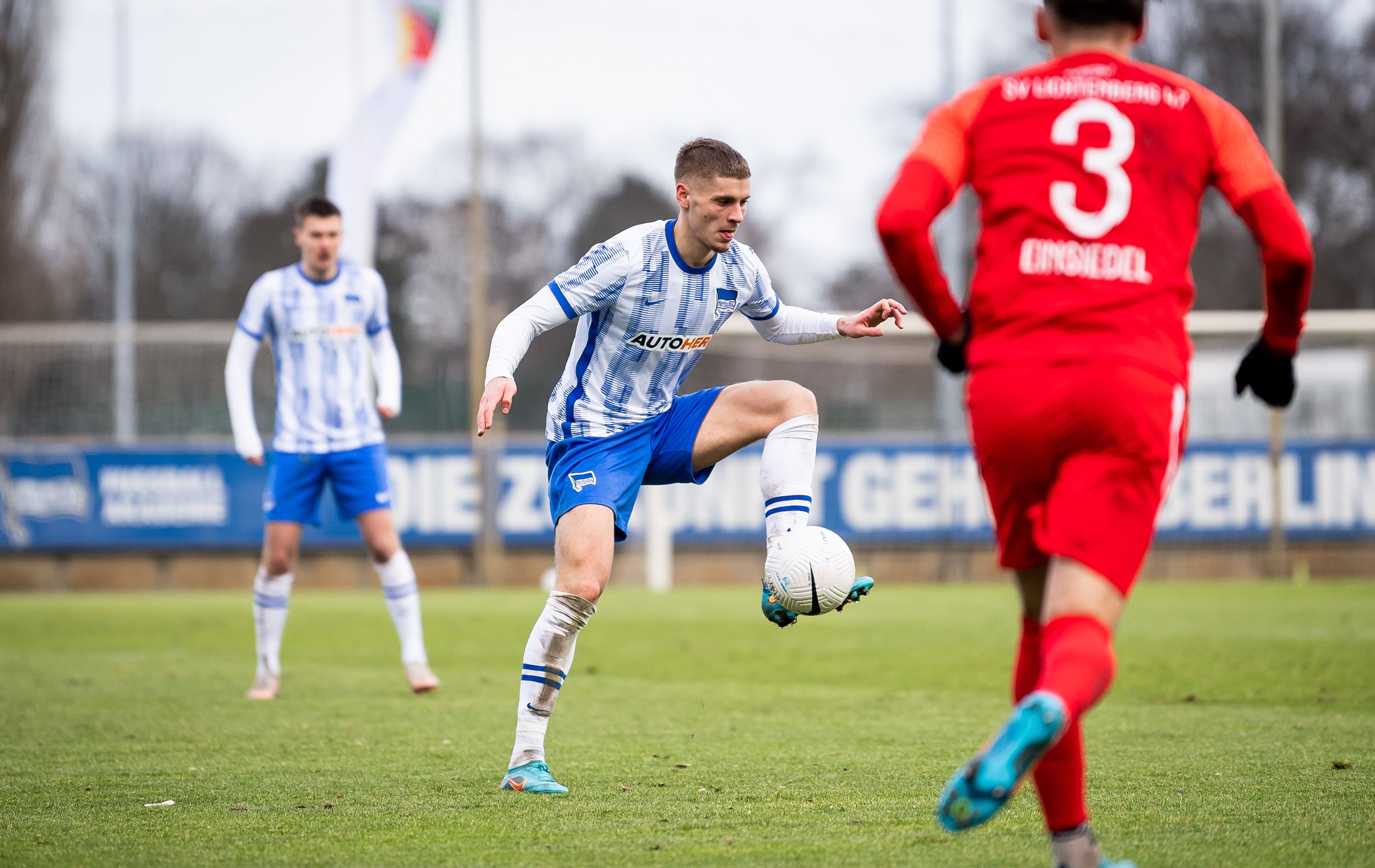 Nanu! Hertha-Shooting-Star Marton Dardai (19) zurück in der Regionalliga