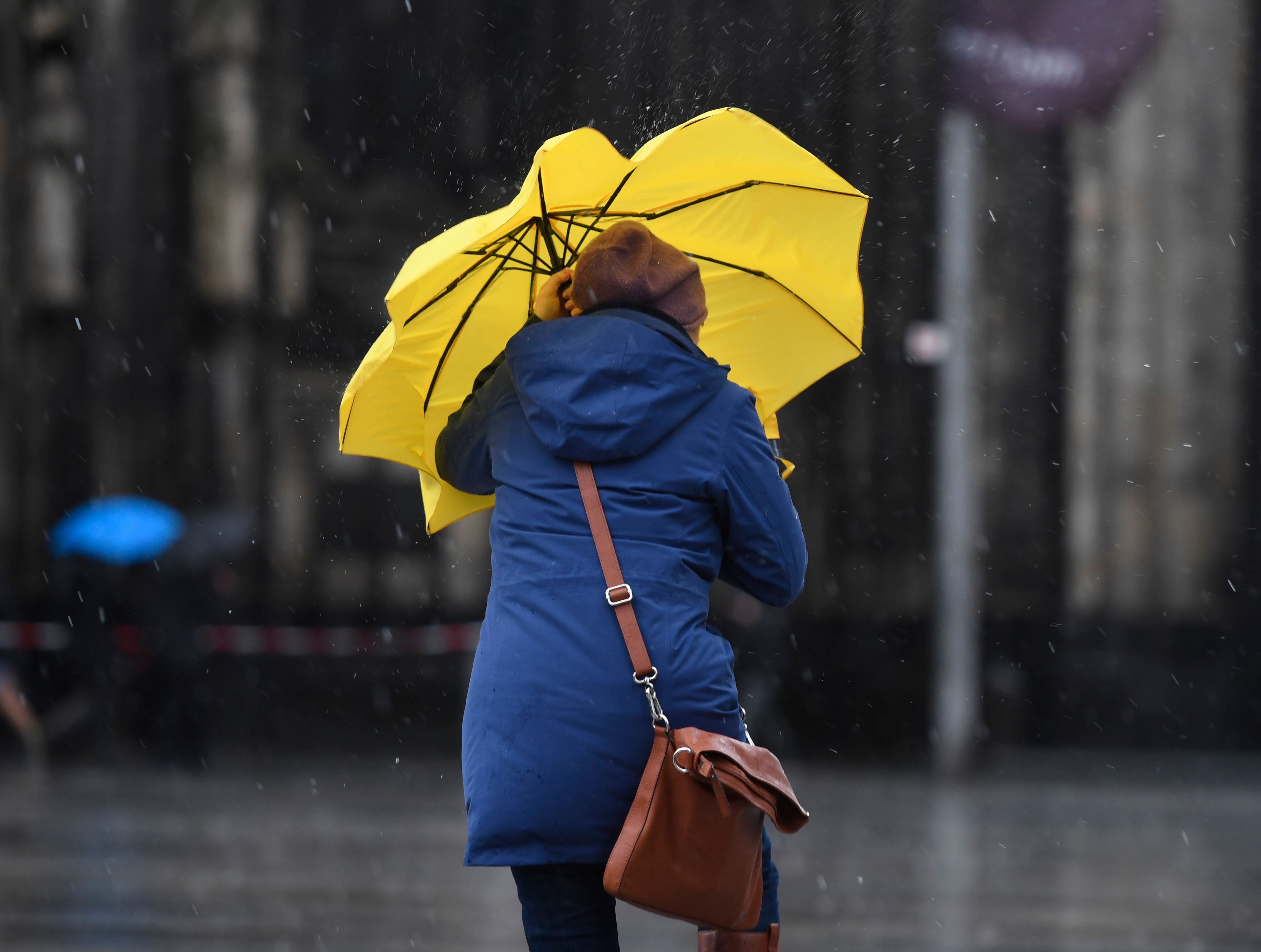 Image - Wetter dreht durch! Meteorologen warnen: Heftige Orkanböen erwartet, Sturmflut-Gefahr… und SO wird das Wetter im Februar