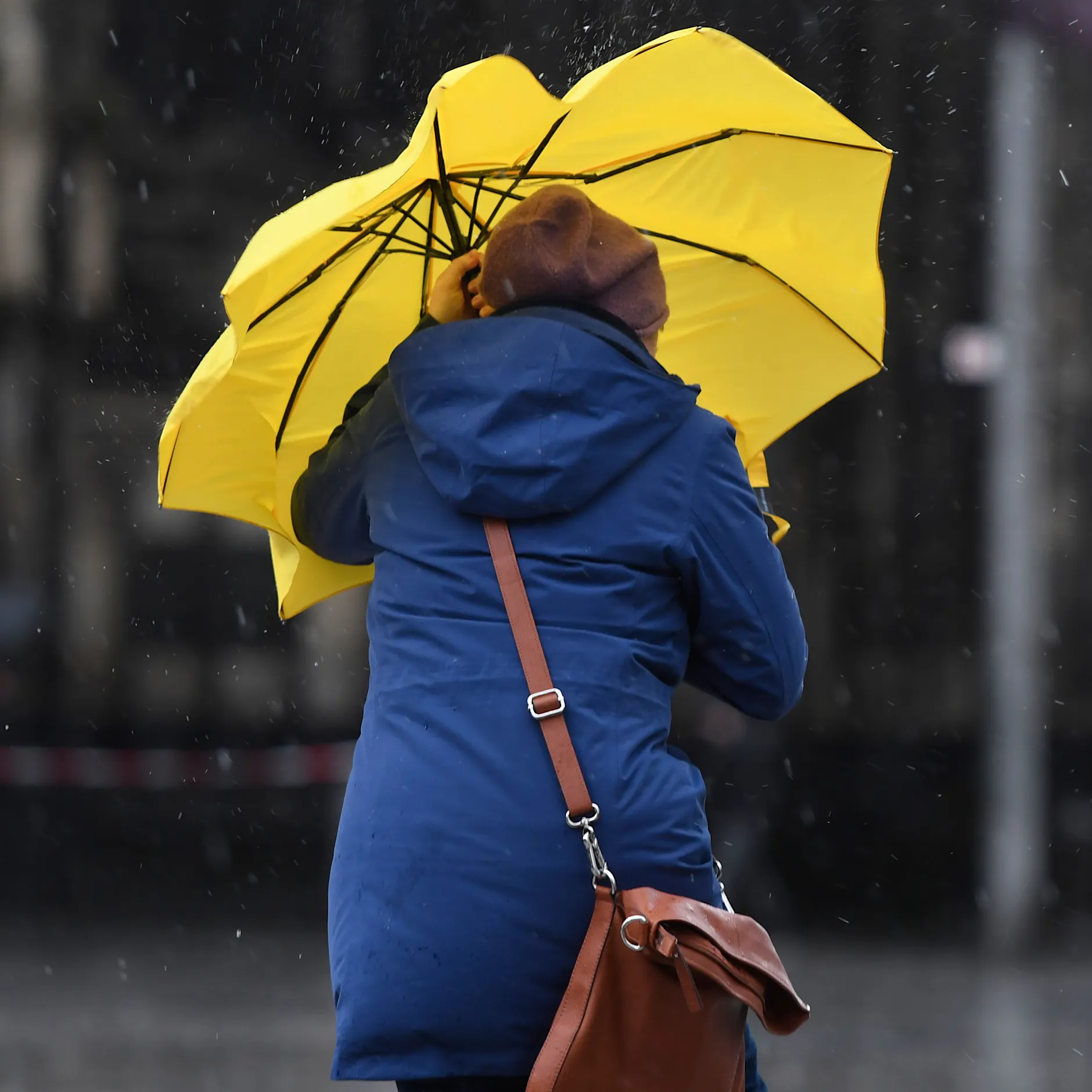 Wetter dreht durch! Meteorologen warnen: Heftige Orkanböen erwartet, Sturmflut-Gefahr… und SO wird das Wetter im Februar