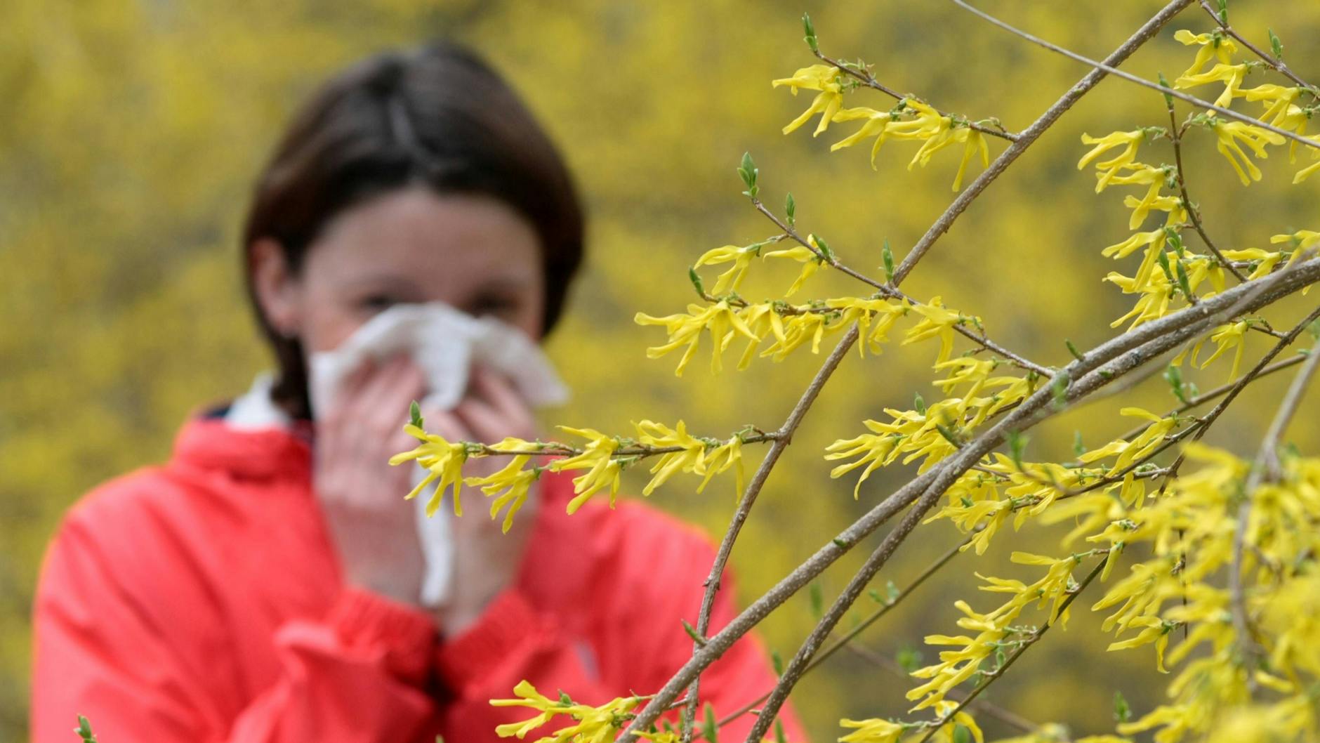 Eine Frau schnäuzt sich die Nase.