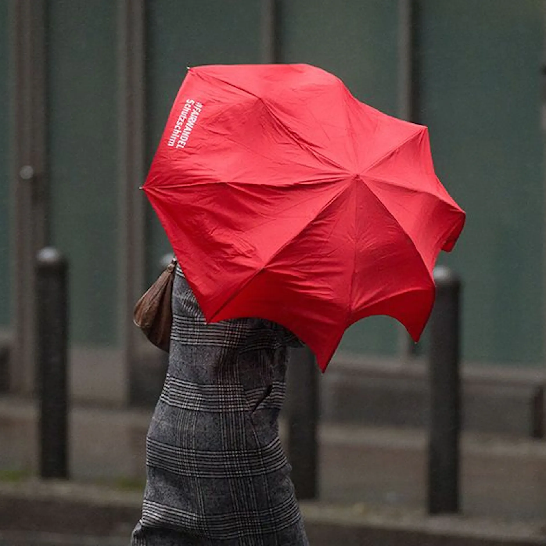 Wetter immer verrückter: Experte warnt vor Hurrikan-Böen! Stürme mit 200 km/h drohen – wann kommt das Chaos-Wetter zu uns?