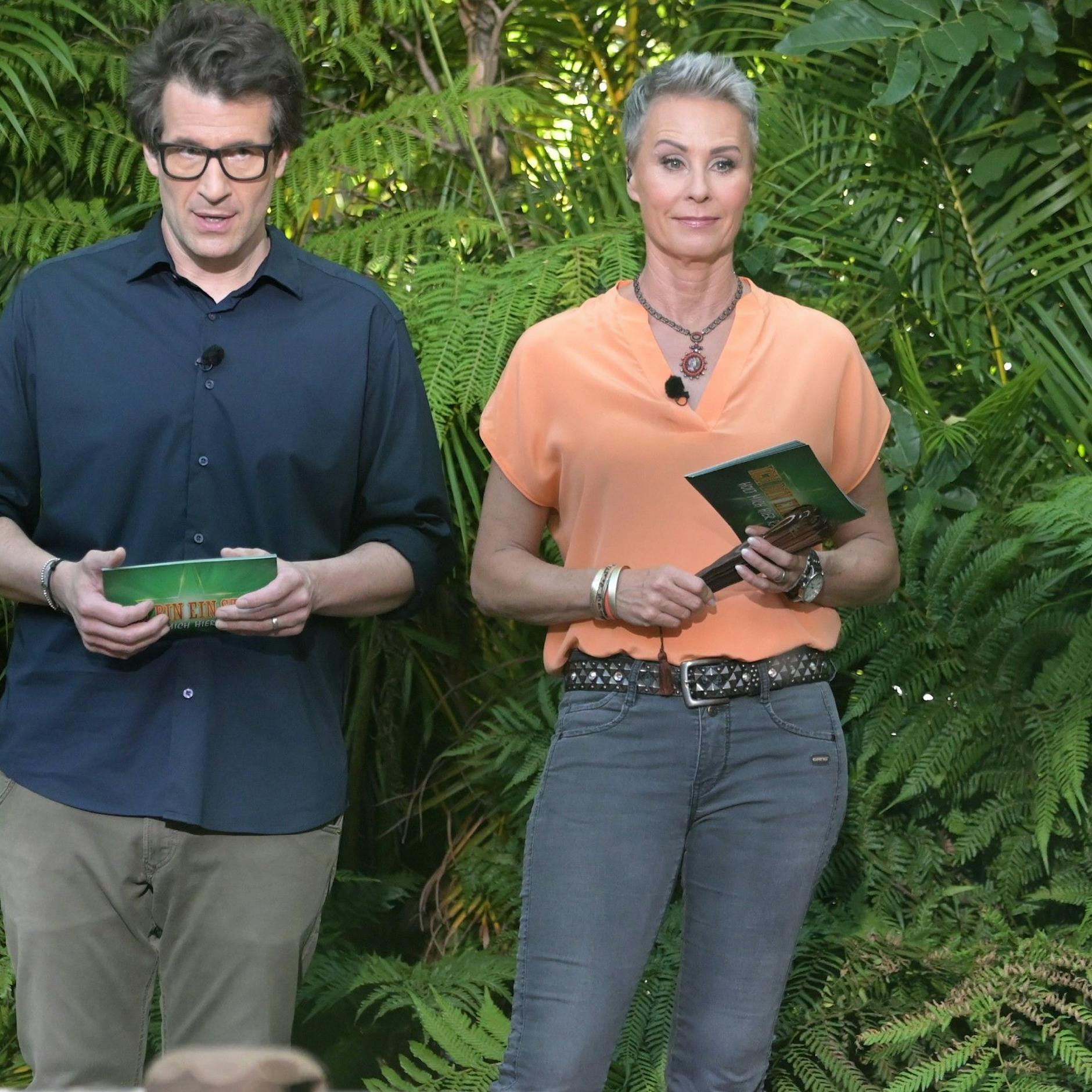 Dschungelcamp-Hammer: Daniel Hartwich hört auf! Das sagt er zu seinem Aus – und DIESER Star soll sein Nachfolger werden