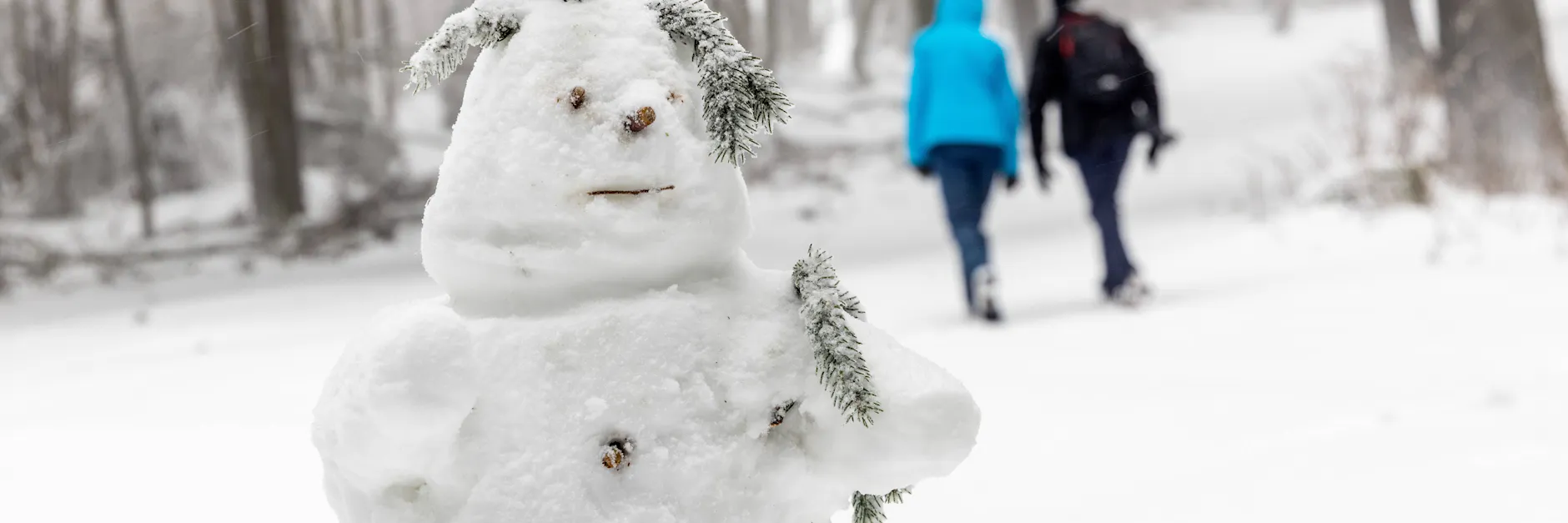Schnee und Frost kehren nach Berlin und Brandenburg zurück (Symbolbild).