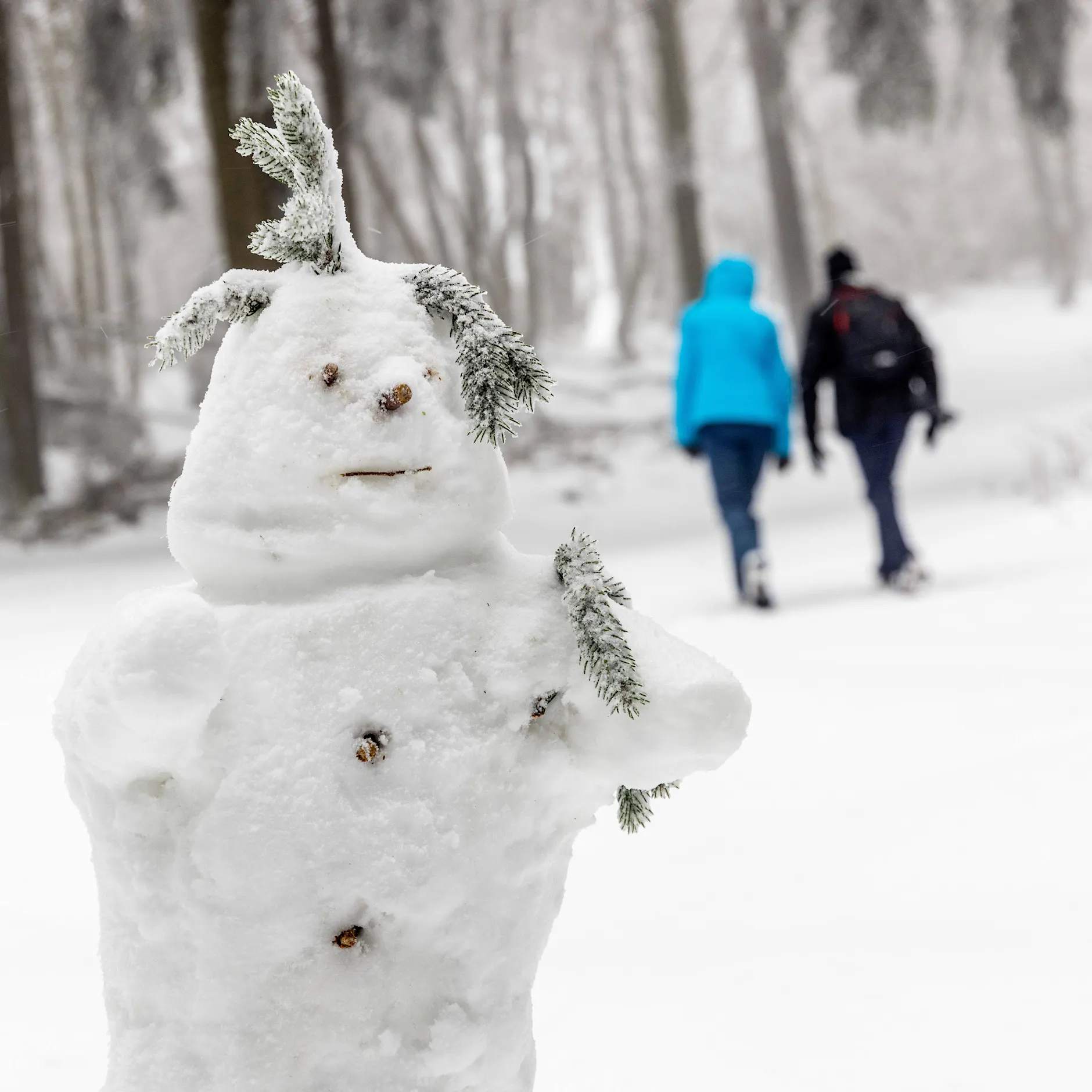 Schnee, Glätte, Sturmböen: Temperatur-Schock! Der Frost-Winter kehrt nach Berlin zurück