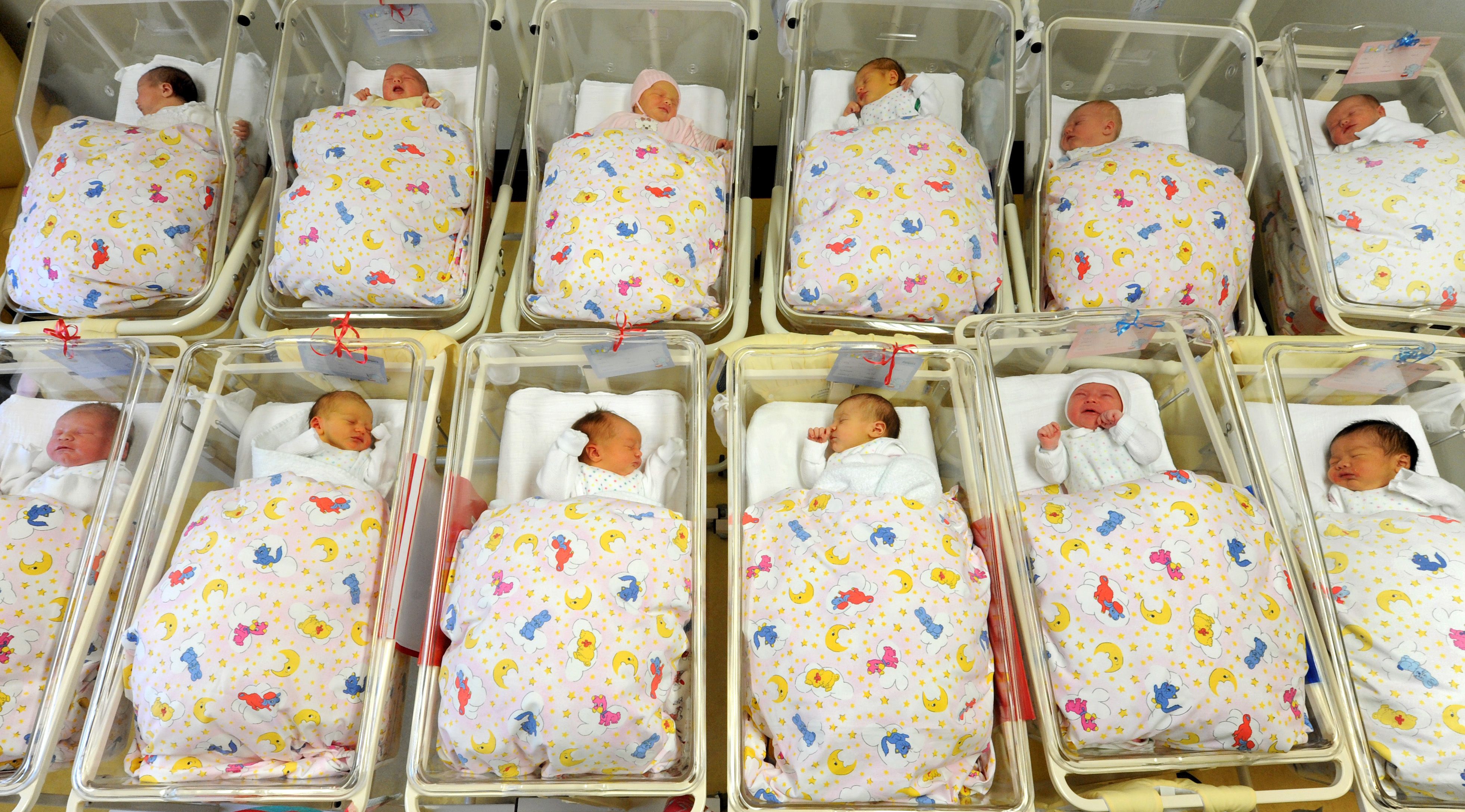 Image - Mindestens 60 Berliner Babys kamen „vertraulich“ zur Welt