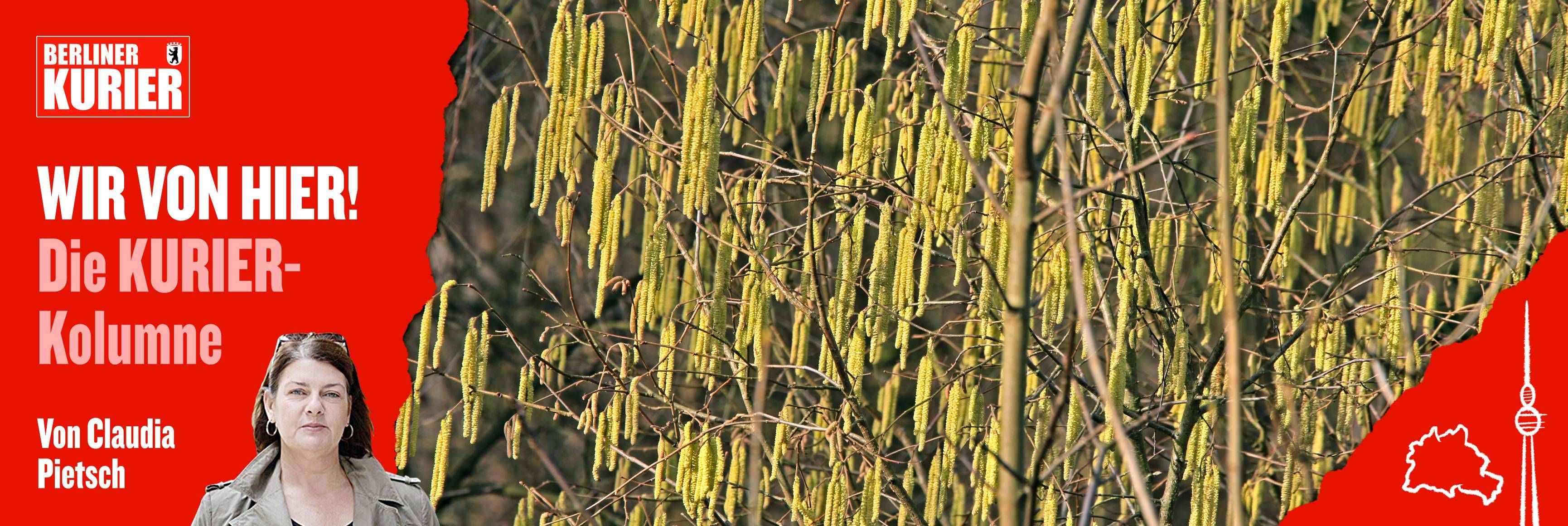 Phänologische Uhr: Wie mich etwas, wovon ich noch nie gehört habe, aus dem Winterblues holte