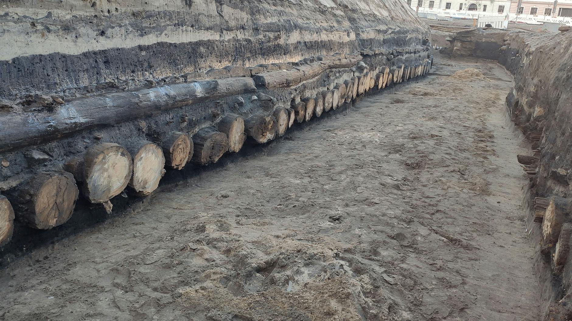 Besichtigung eines Sägeplatzes