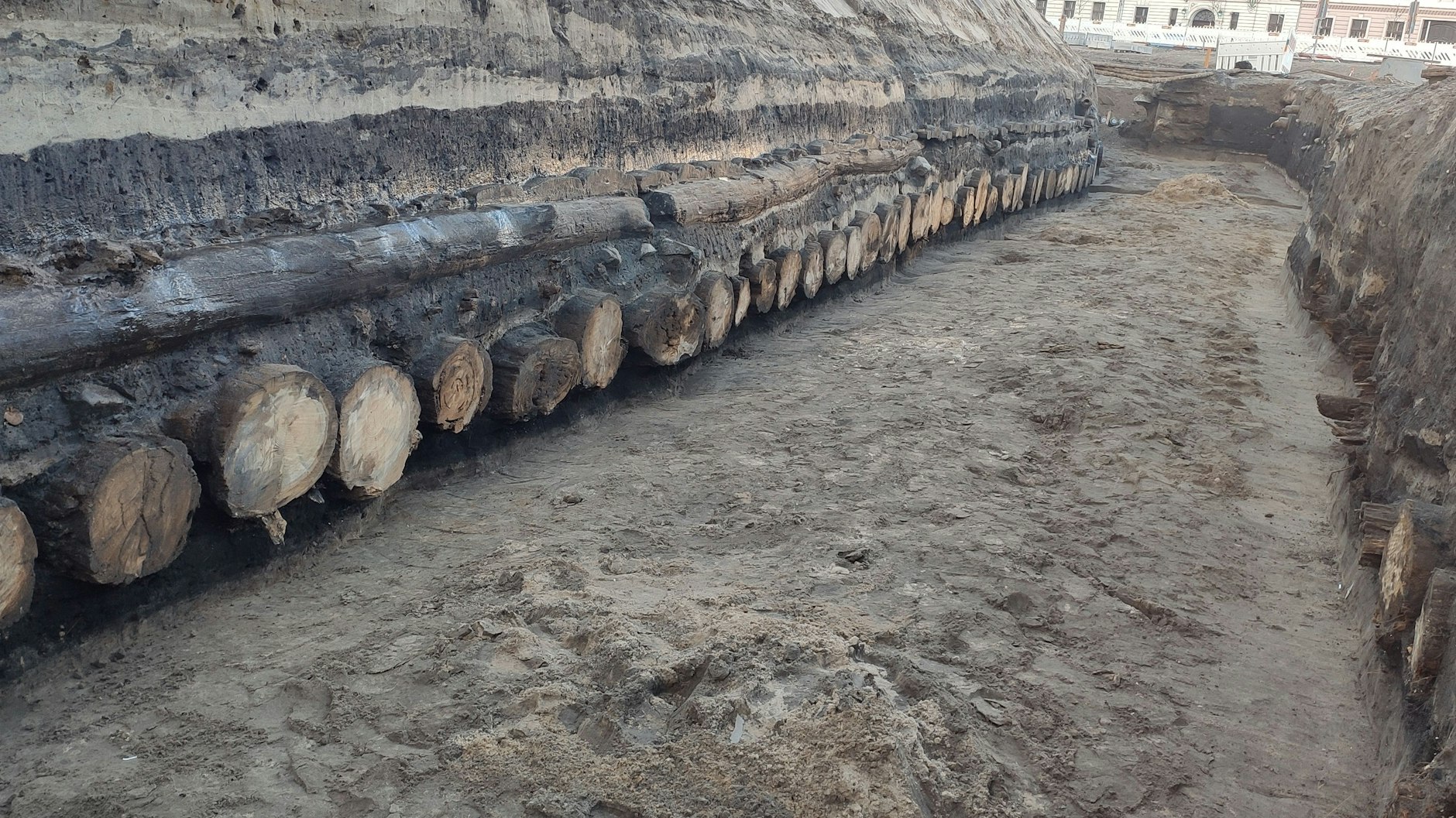 Besichtigung eines Sägeplatzes