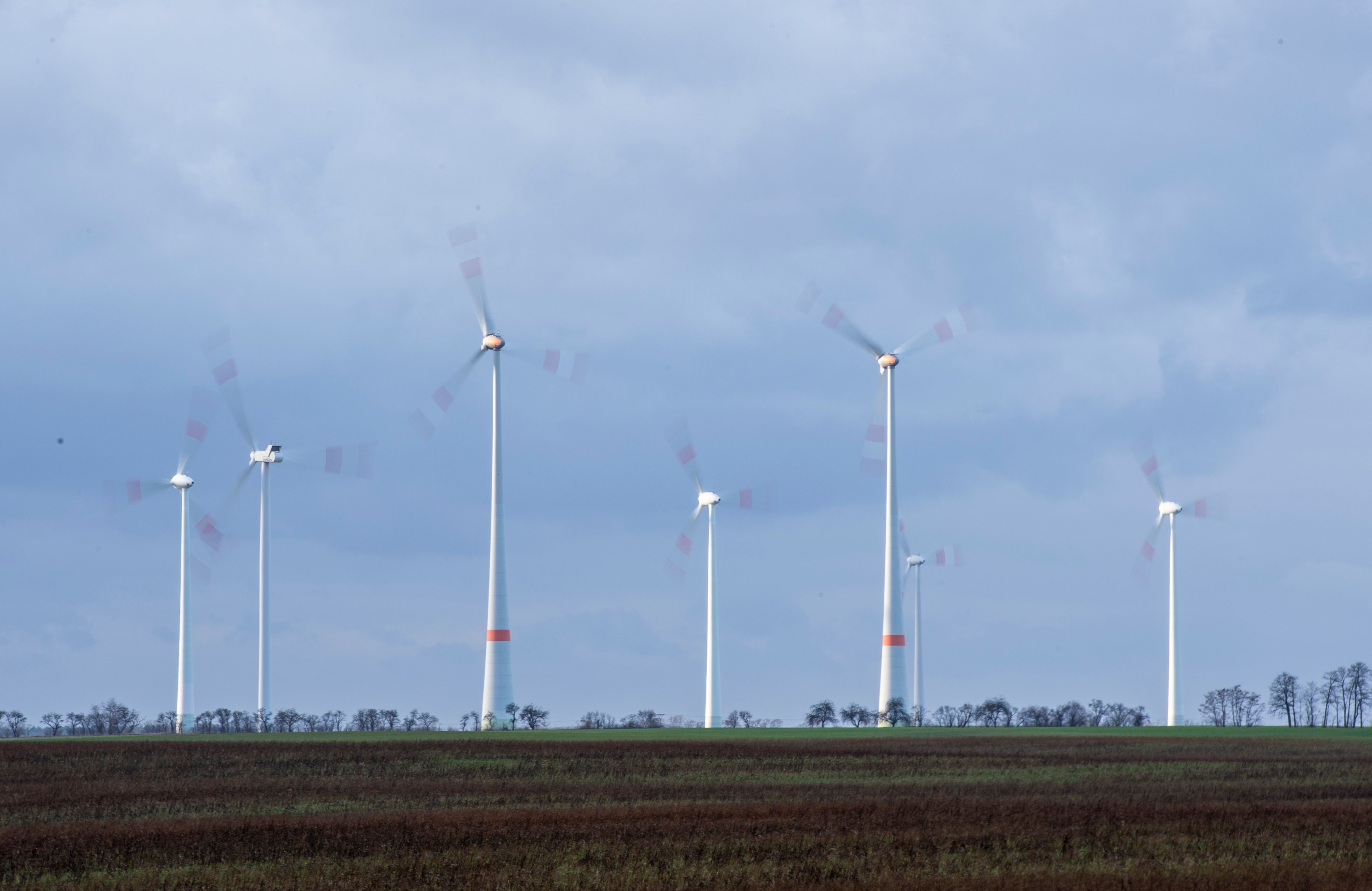 Image - Der Osten macht Öko-Strom – und Brandenburg ist ganz vorn