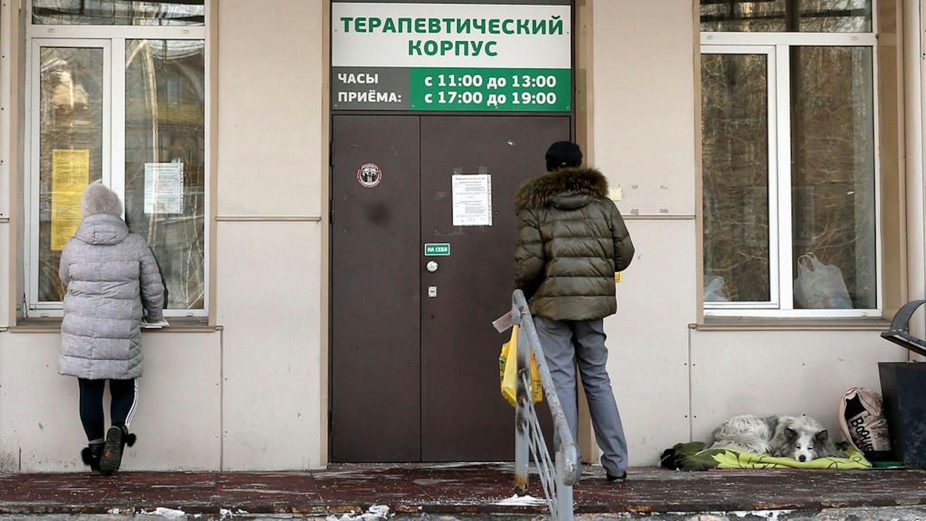 Der Hund vor dem Eingang zu der Klinik. 