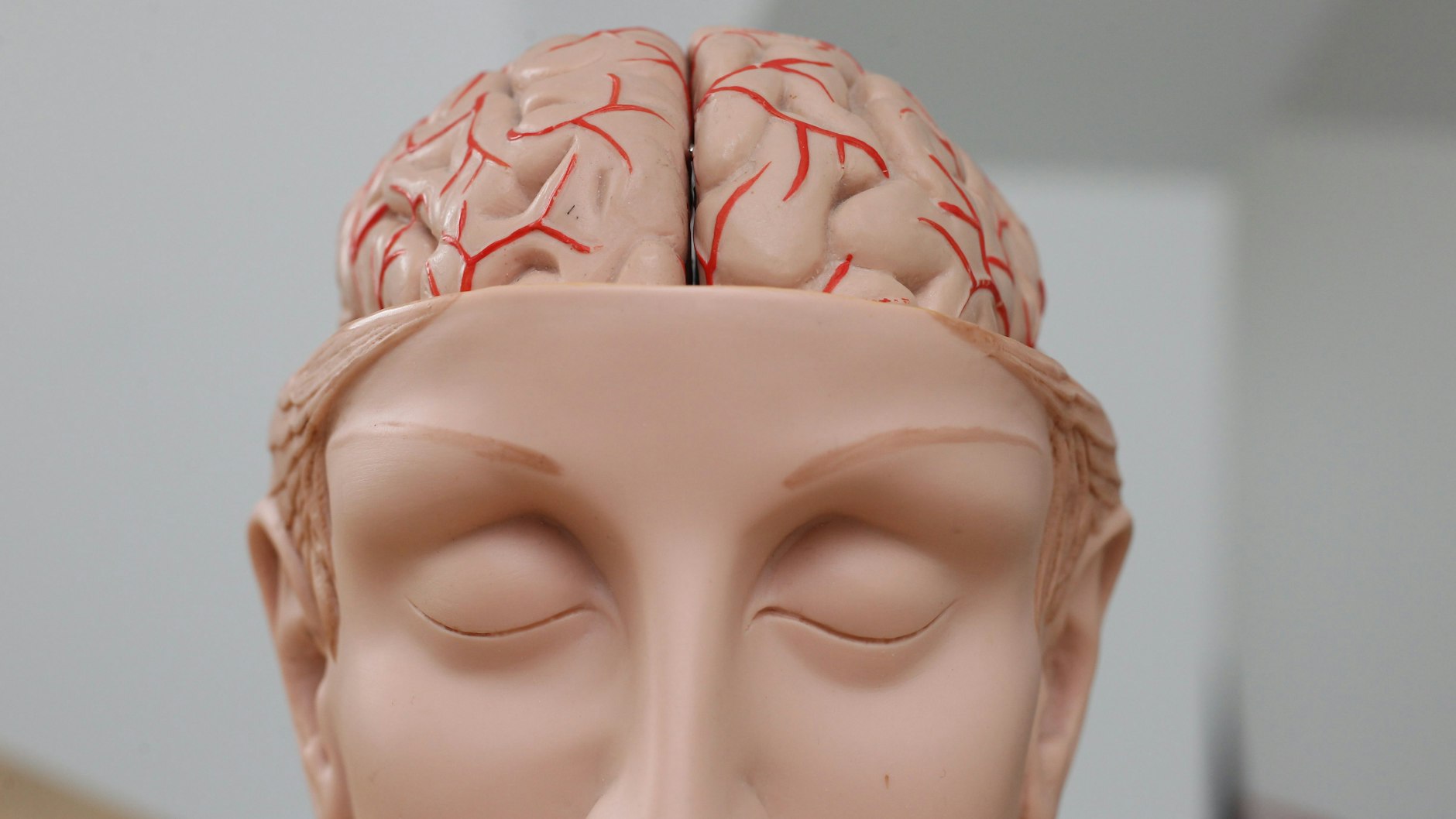 In Berlin entstand einst das erste Institut für Hirnforschung. Das Gehirn selbst wird noch lange große Rätsel aufgeben.