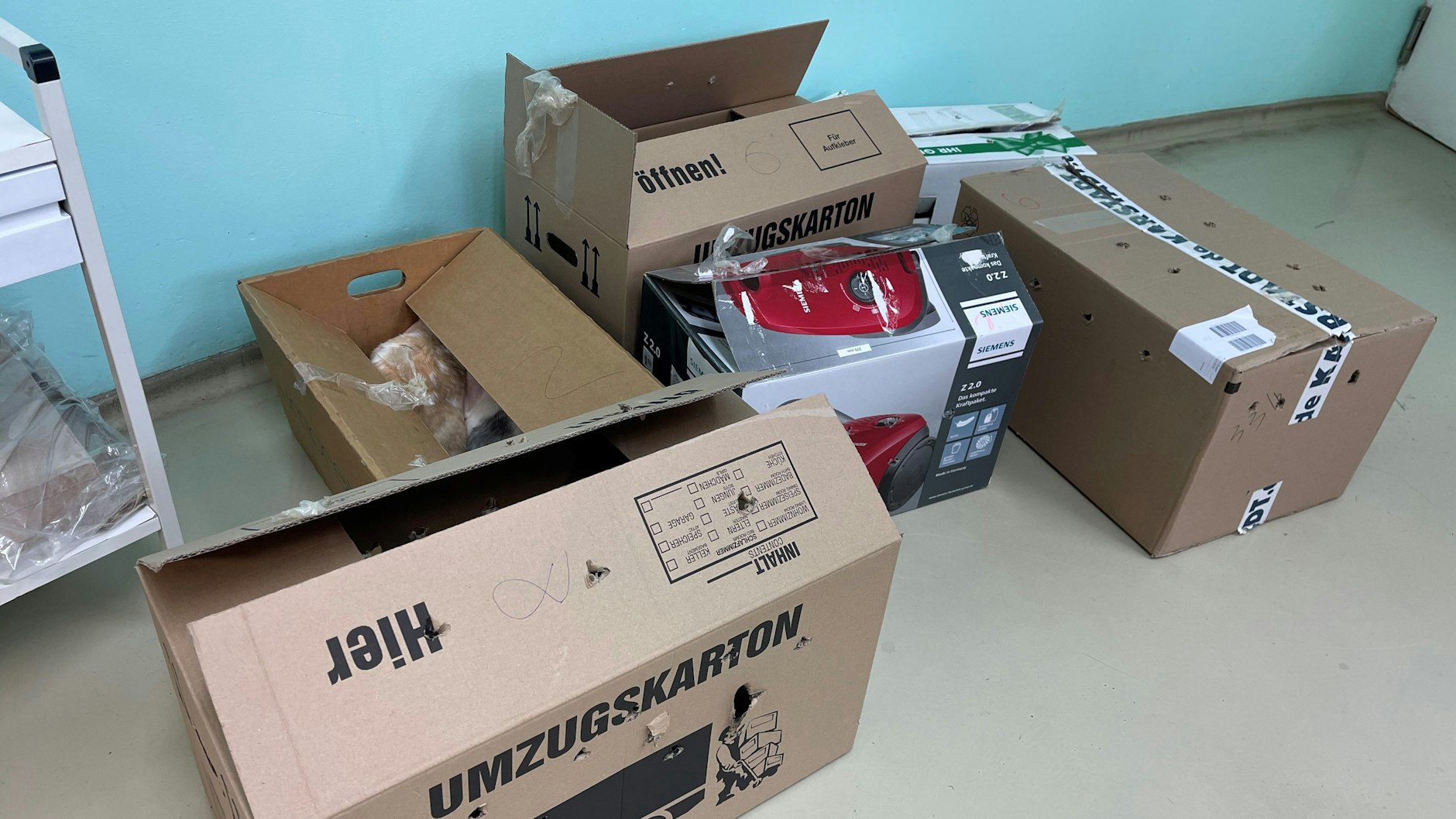 In diesen Umzugskartons wurden die Kaninchen ausgesetzt.