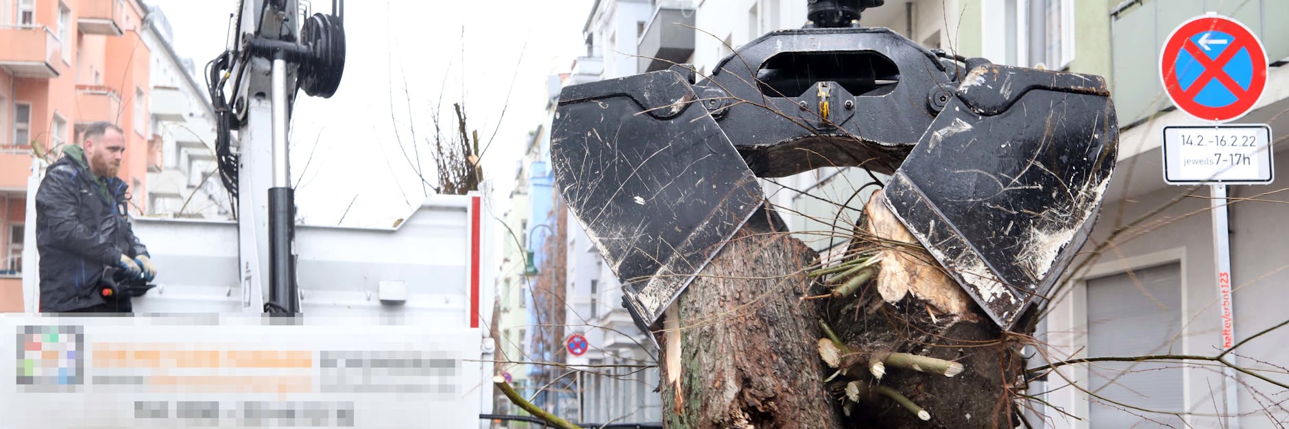 Die letzten Reste der gefällten Weiden aus der Seelower Straße werden abgeräumt.