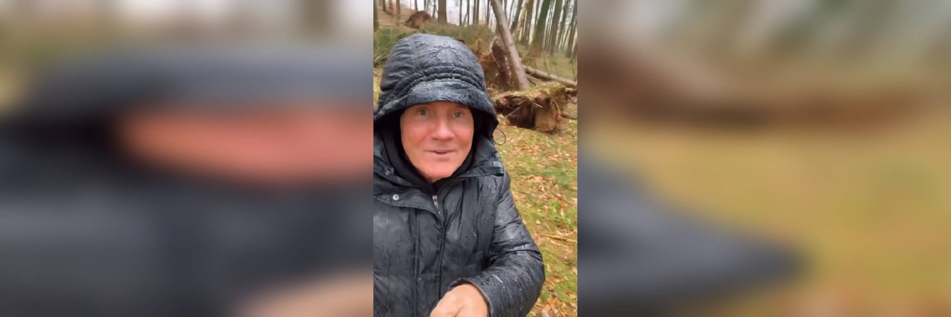 Bei Dieter Bohlen im Wald sind mehrere Bäume durch den Orkan Ylenia umgeweht worden.