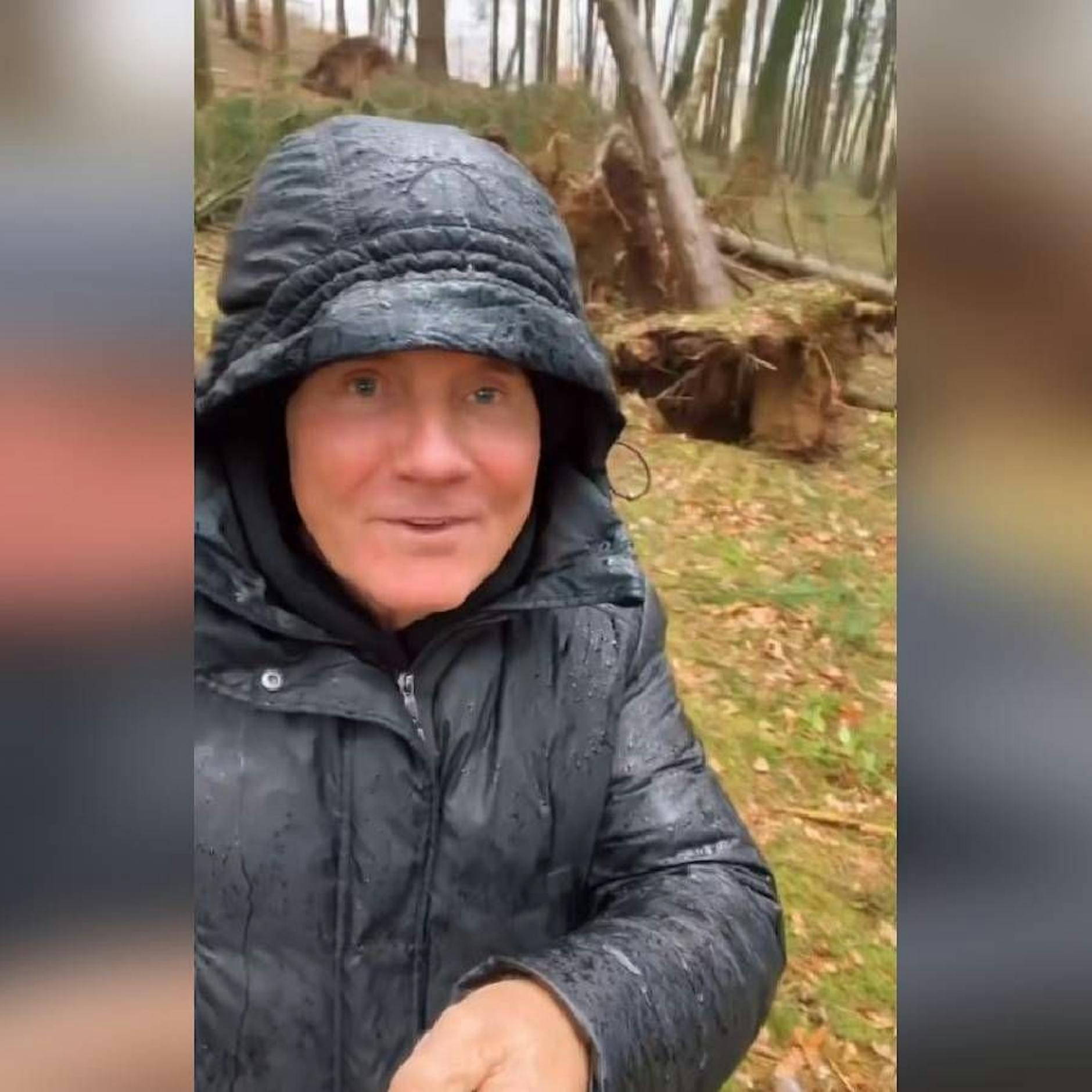 Dieter Bohlen: Orkan "Ylenia" mäht 30 Bäume im Wald des Ex-DSDS-Jurors um!
