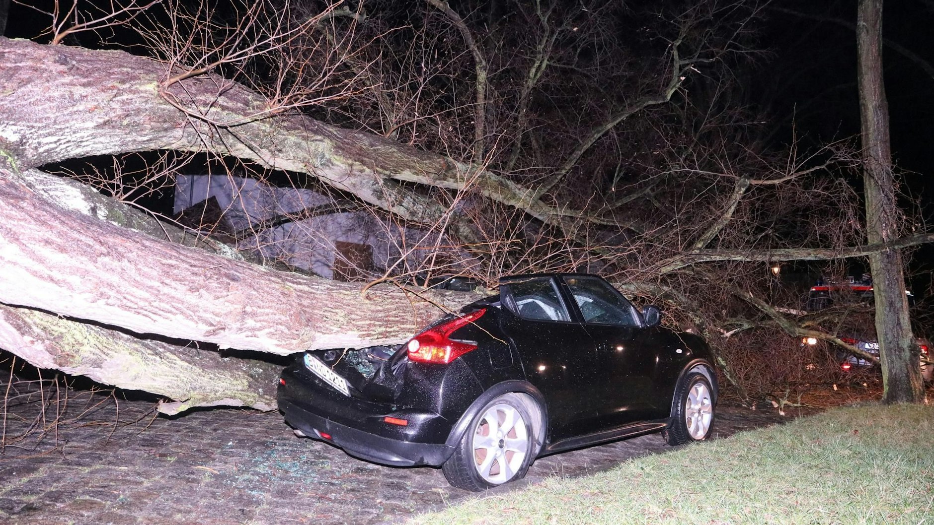 Gegen 2.40 Uhr legte sich ein mindestens 100 Jahre alter Baum quer über die Schillerstraße in Lichtenrade und beschädigte dabei 3 Autos.
