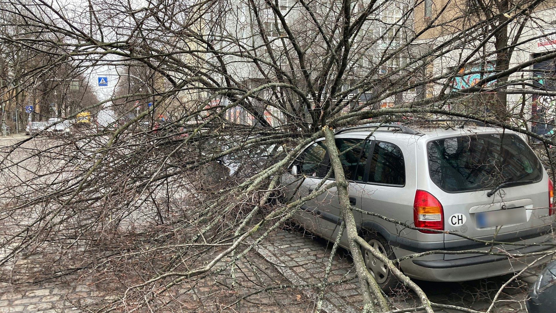 Umgestürzter Baum in Berlin-Kreuzberg.