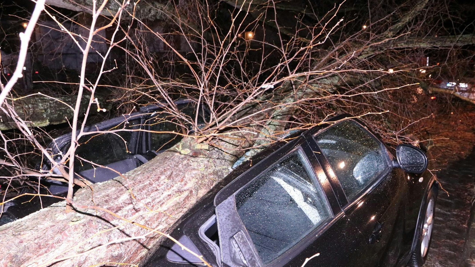 Sturmtief Ylenia hat einen Baum in Berlin entwurzelt, der auf ein Auto stürzte.