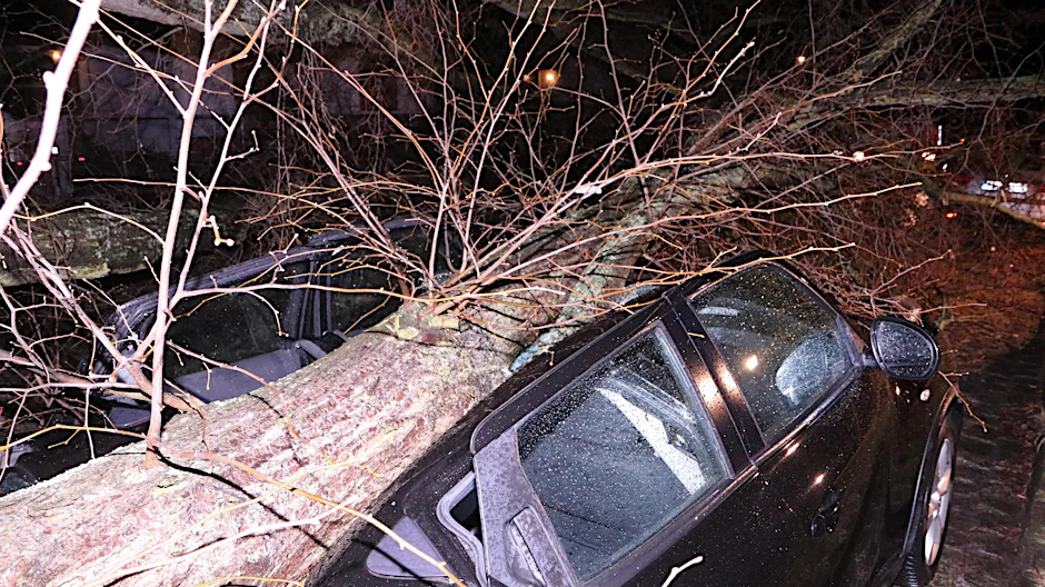 Sturmtief Ylenia hat einen Baum in Berlin entwurzelt, der auf ein Auto stürzte.