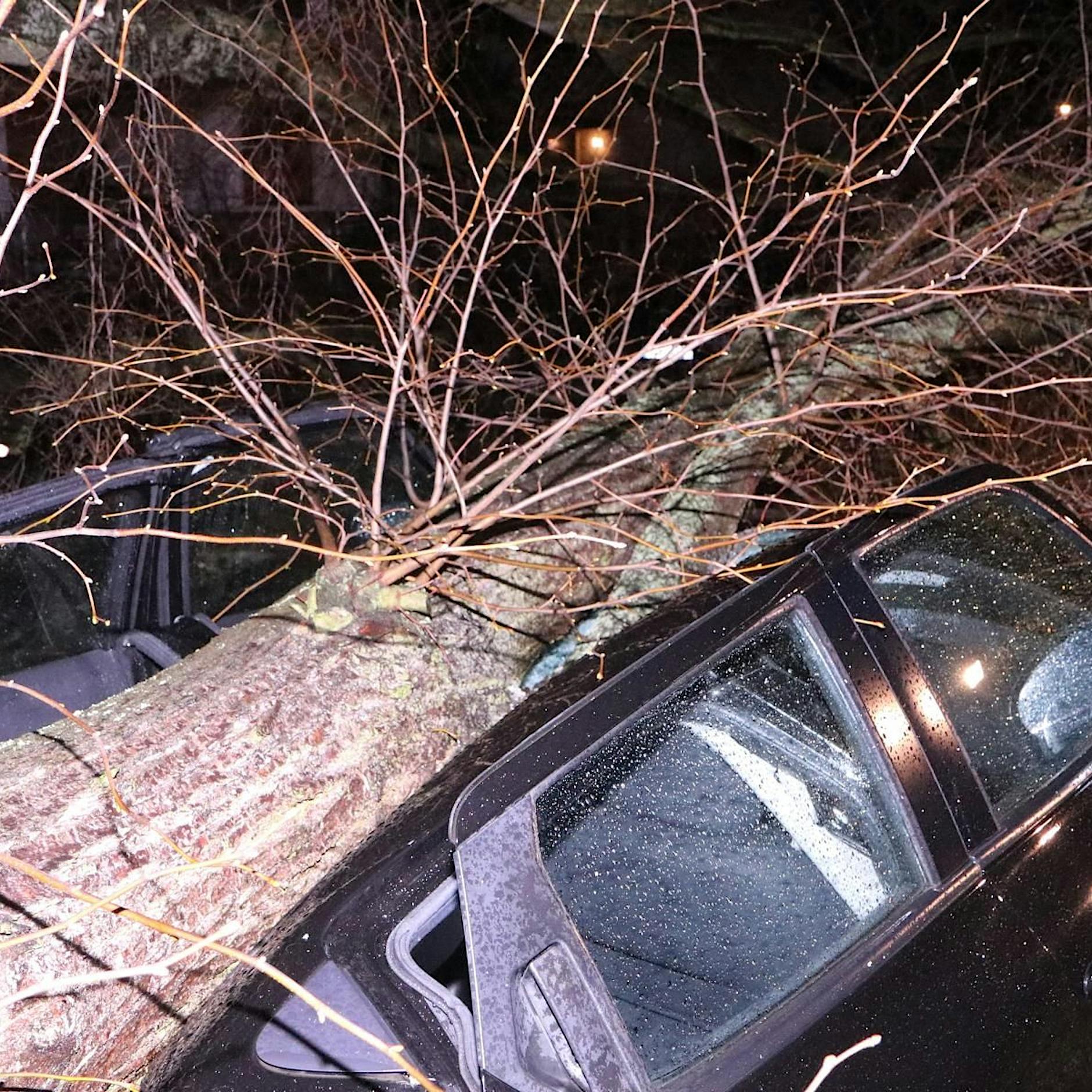 Orkanböen in Berlin: Wer zahlt Sturmschäden an Haus, Auto, Garten?