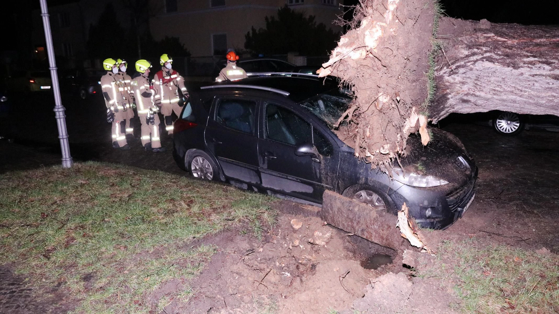 Ein riesiger alter Baum ist in Berlin-Lichtenrade umgestürzt. Mehrere Autos wurden dabei zertrümmert.