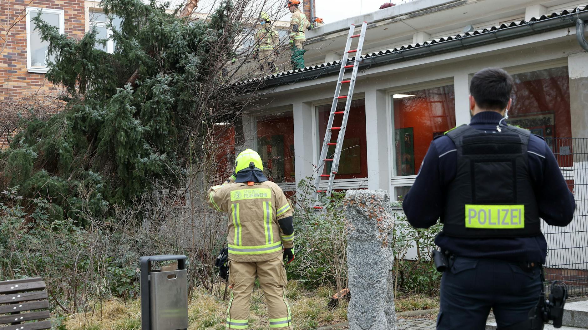 Berlin: Einsatzkräfte der Feuerwehr versuchen, den Baum vom Schuldach zu ziehen.